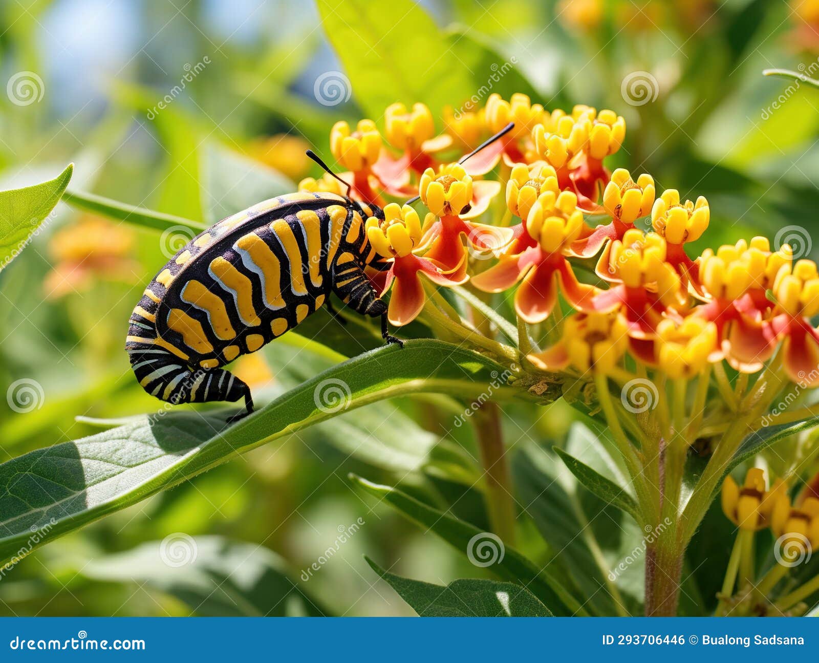 Munching Caterpillar Mascot Stock Illustration by ©lenmdp #58949045