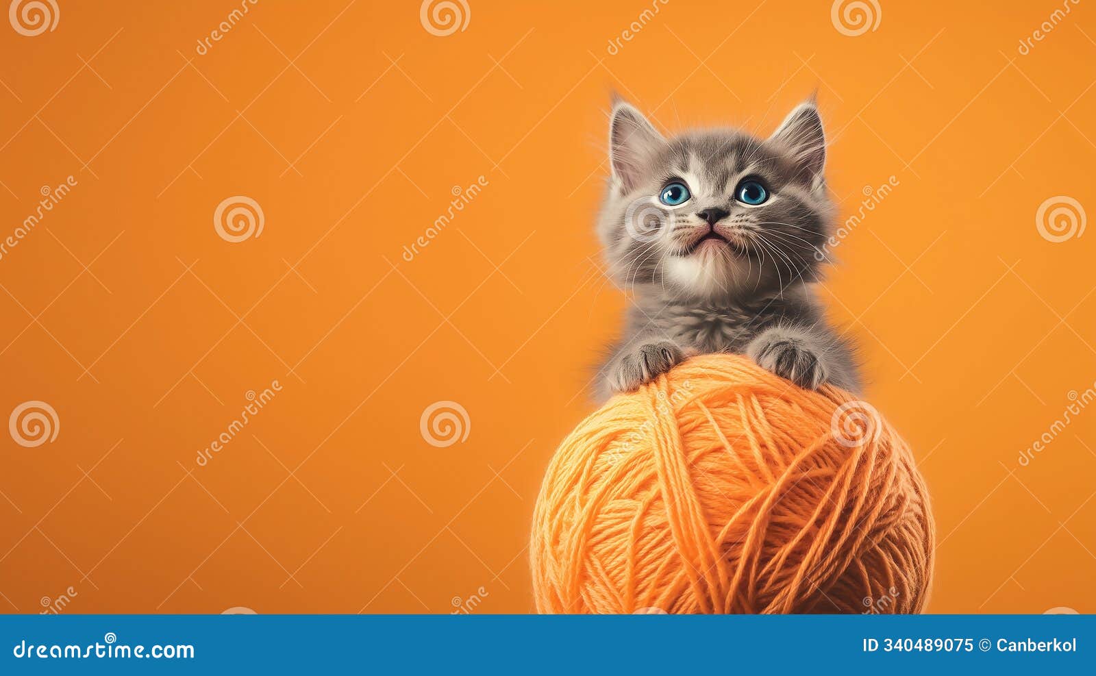 orange background and a kitten on top of an orange ball of wool