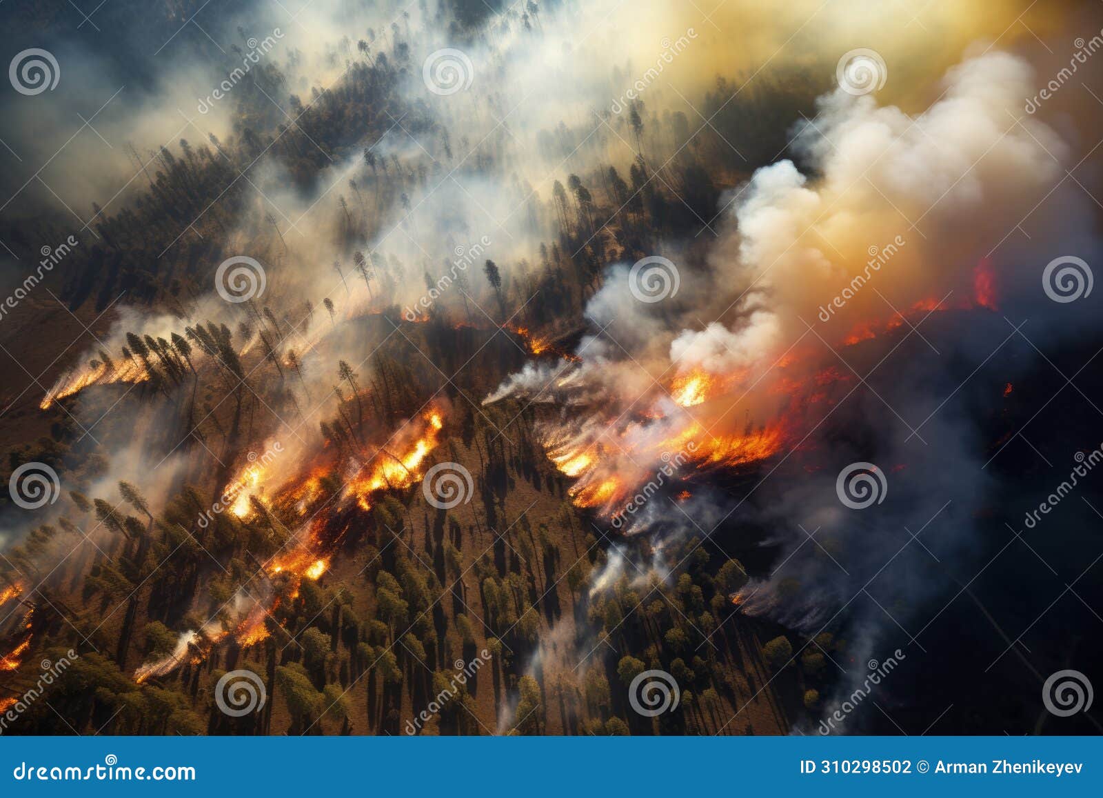 aerial view on the wildland forest fires. environmental issues concept