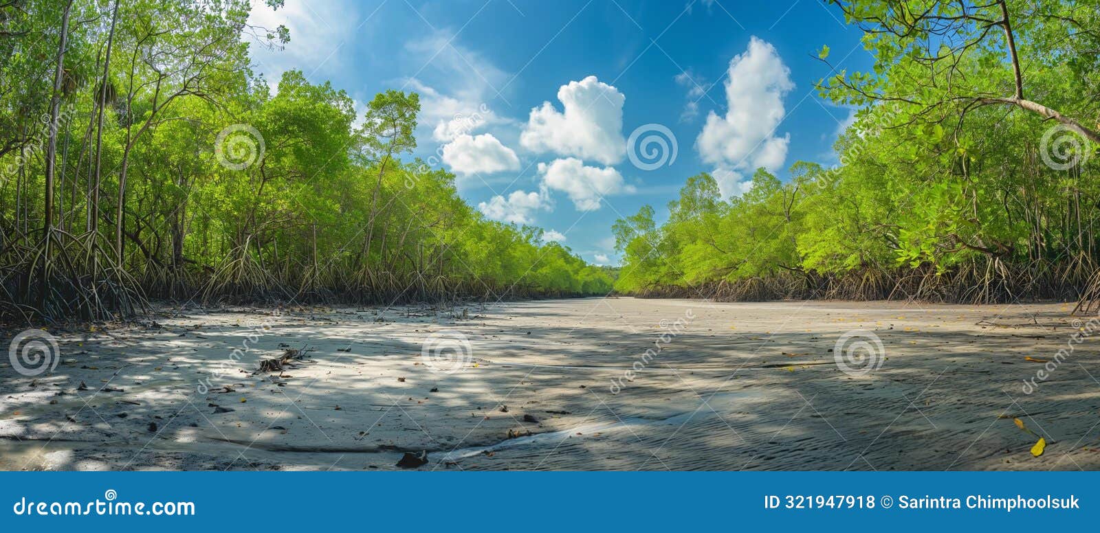 ai generator image of mangrove forest