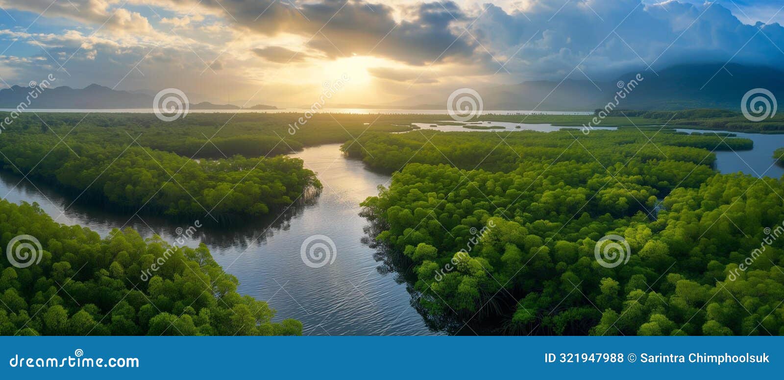 ai generator image of mangrove forest