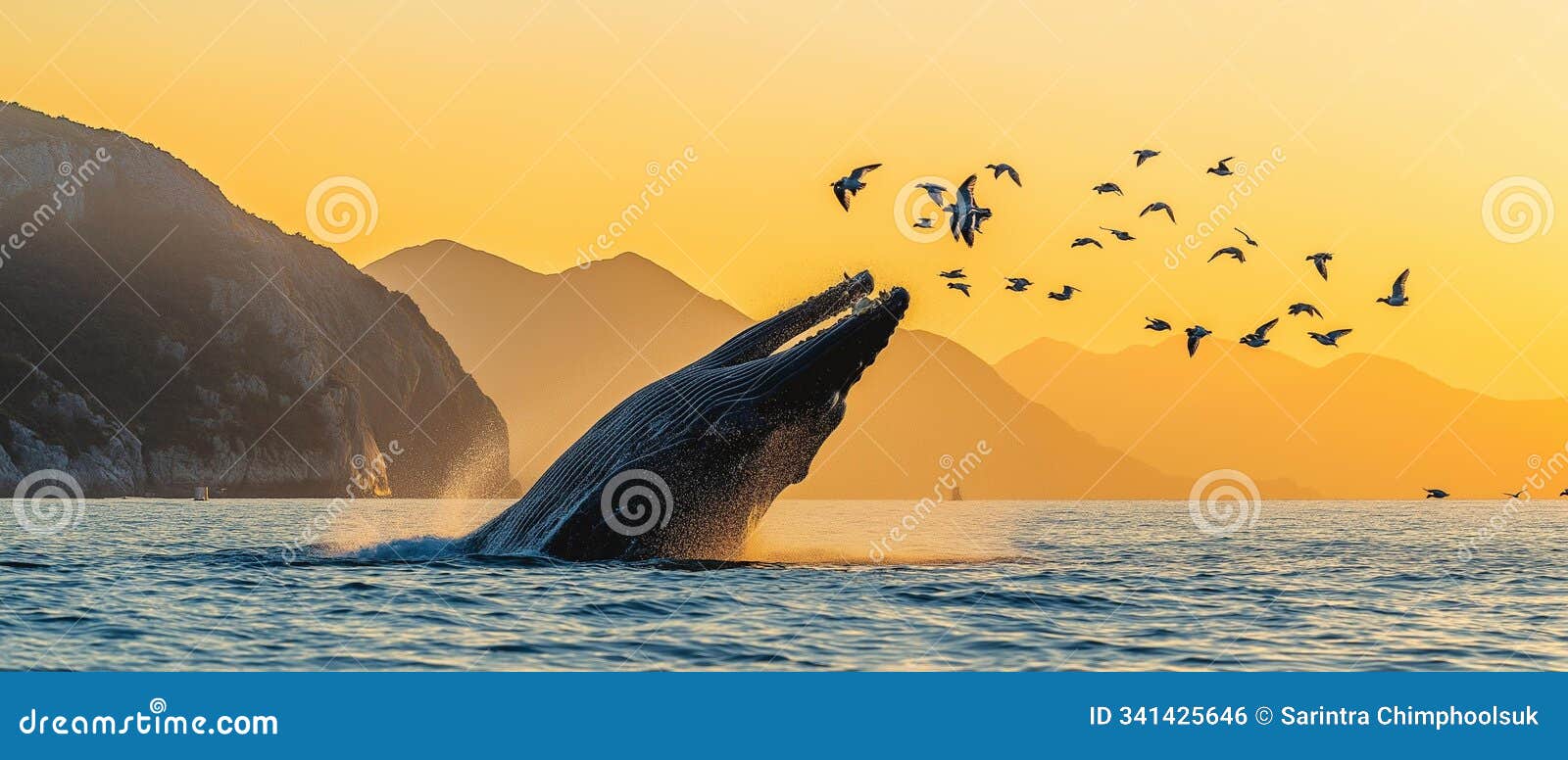 ai generator image of whale,bryde's whale, eden's whale in ocean , the gulf of thailand.