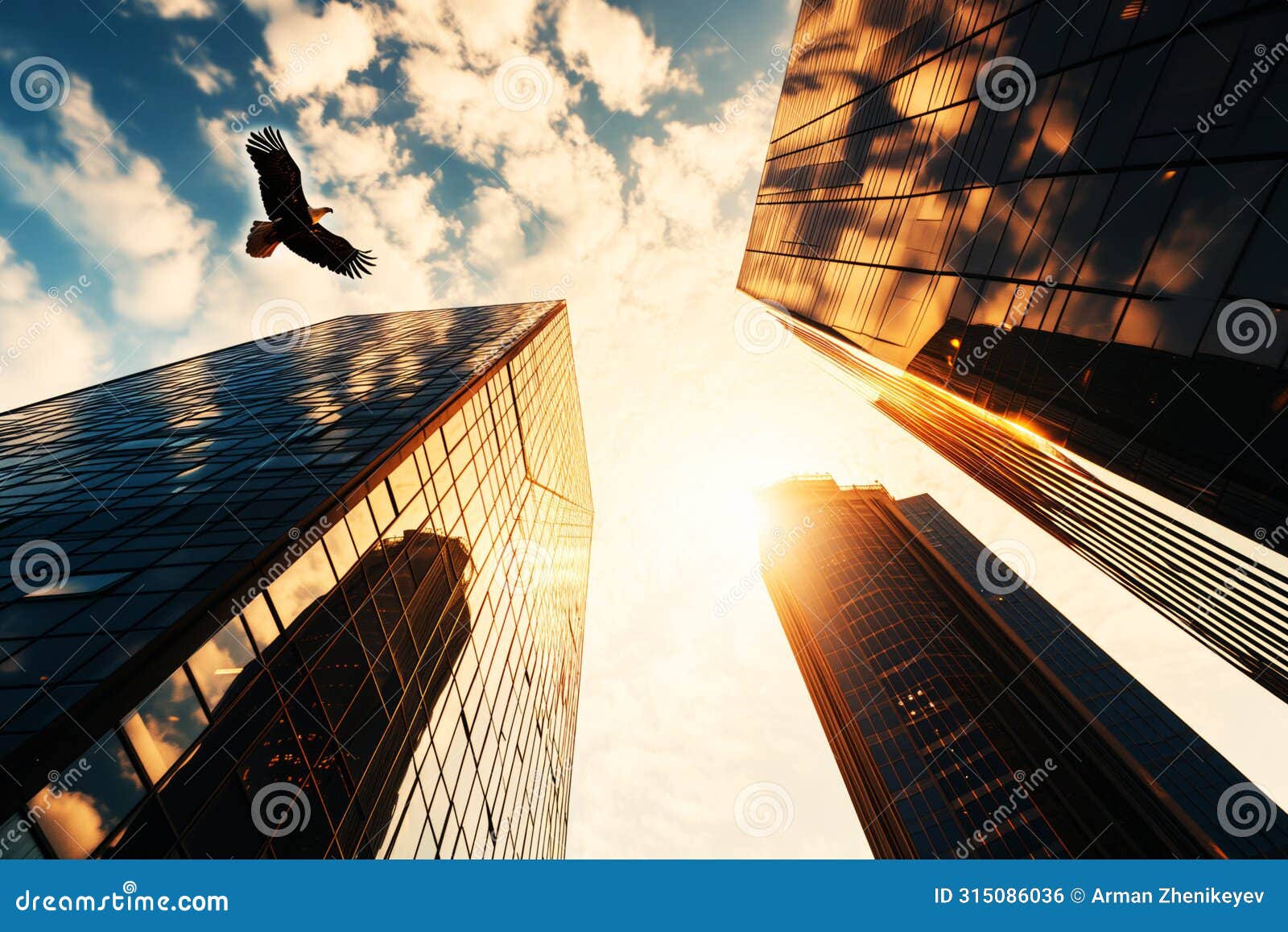 business office skyscrapers and bald eagle flying in majestic sky