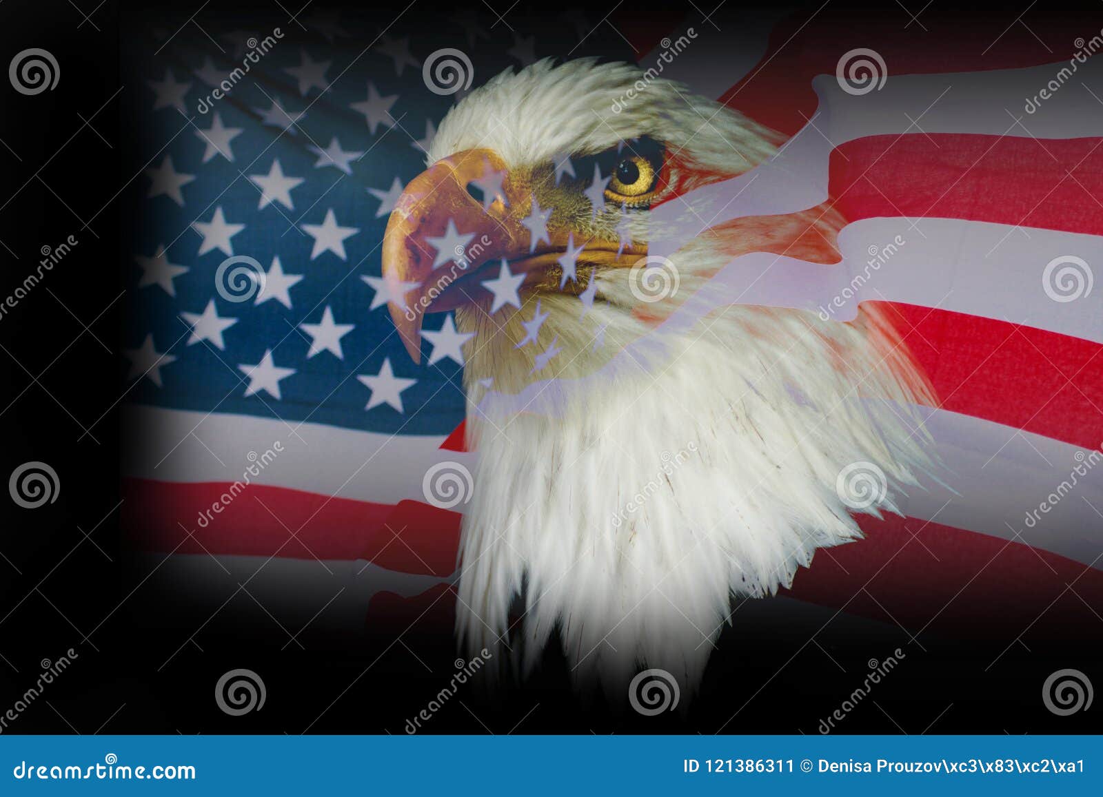 drapeau USA-aigle
