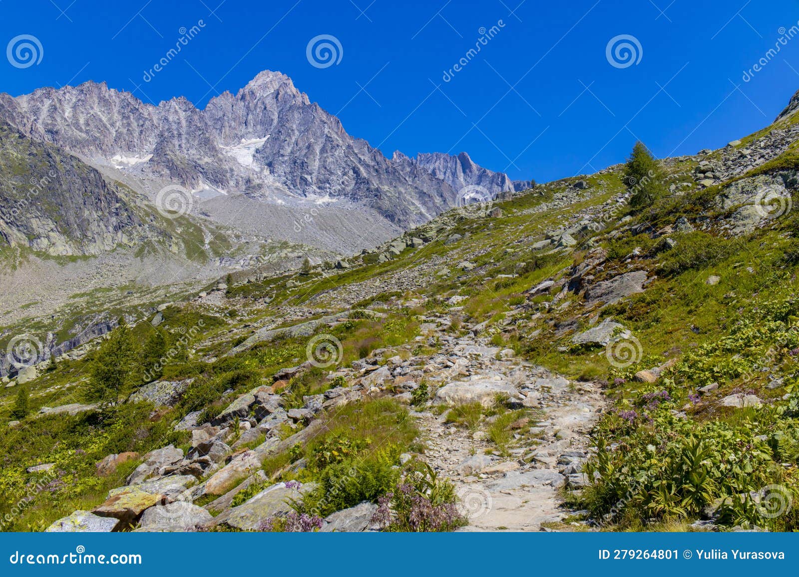 aiguille de chardonnet, glaciar argentiere in chamonix