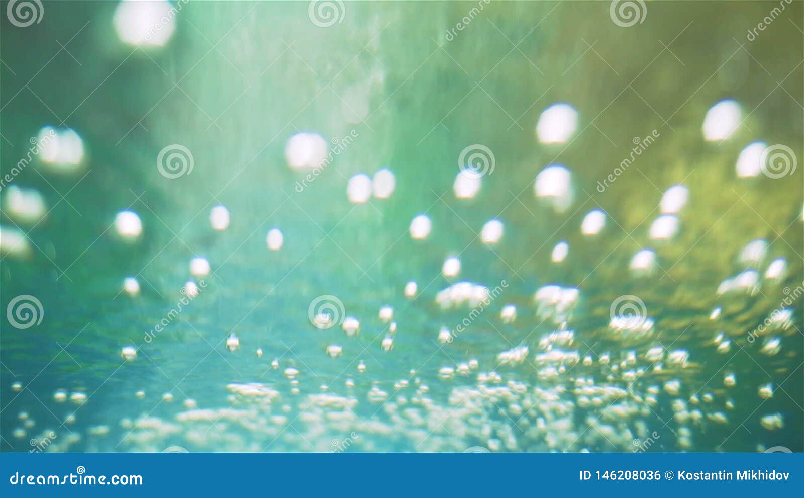 Air bubbles in an aquarium stock footage. Video of nature 146208036