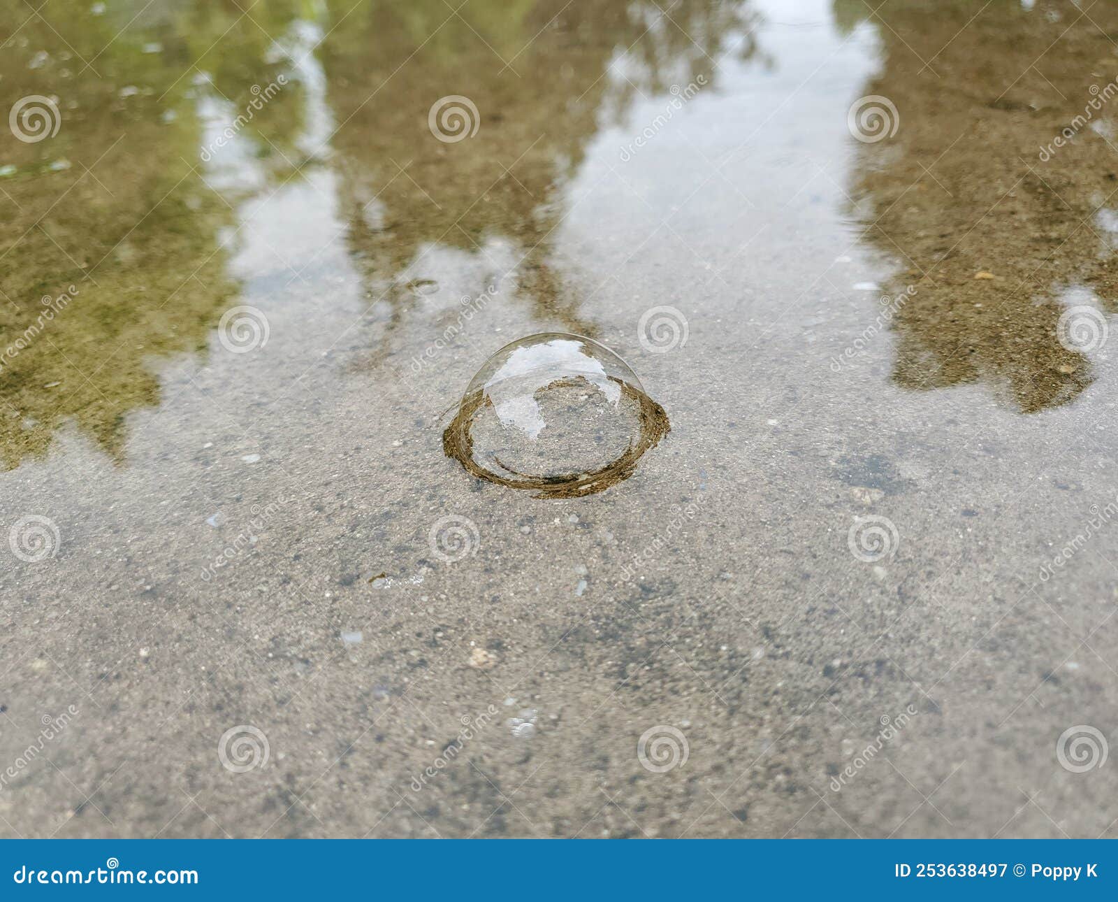 Air Bubbles on the Surface of the Road when it Rain. Stock Image