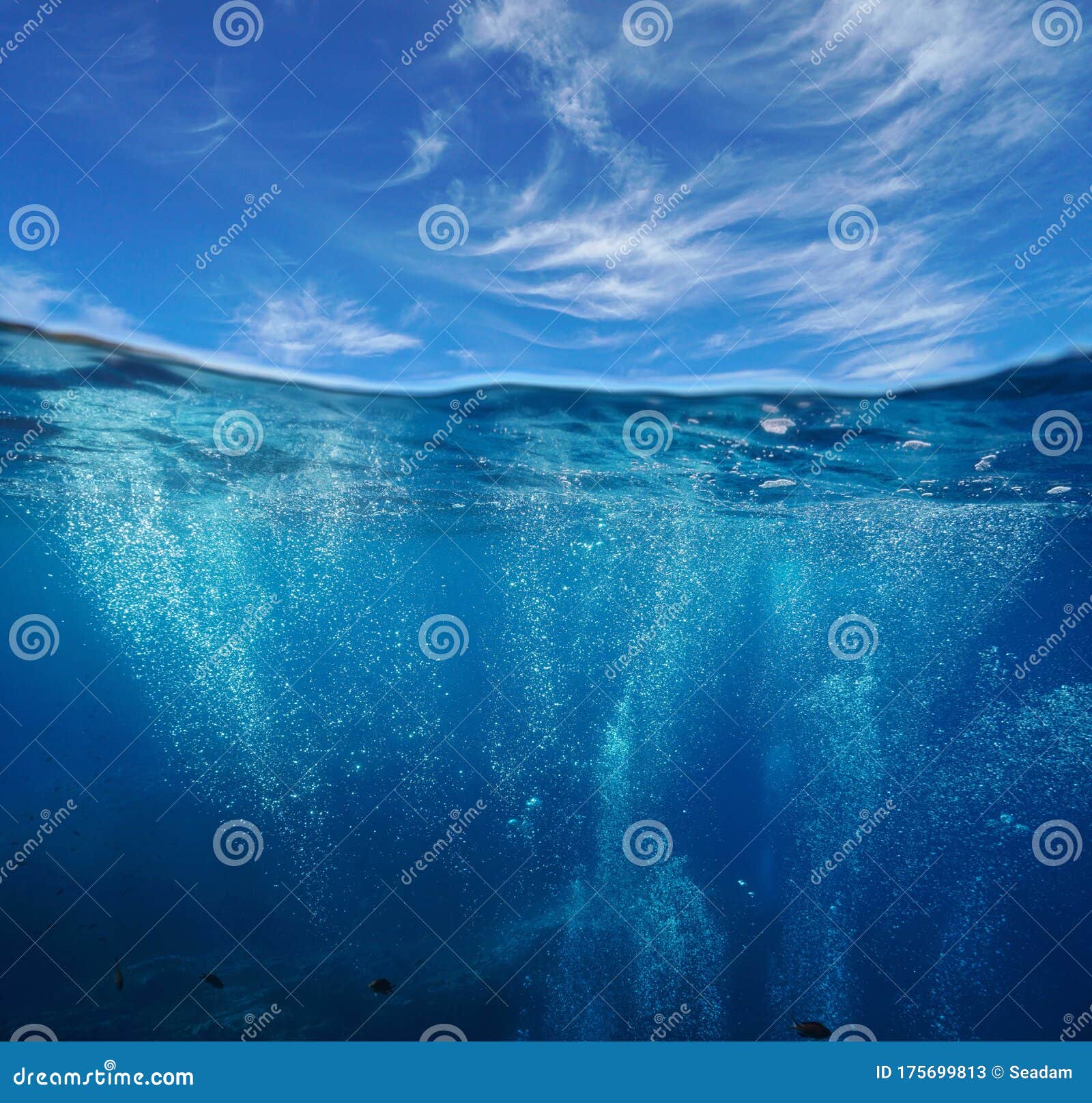 Bubbles Underwater Graphics, Designs & Templates