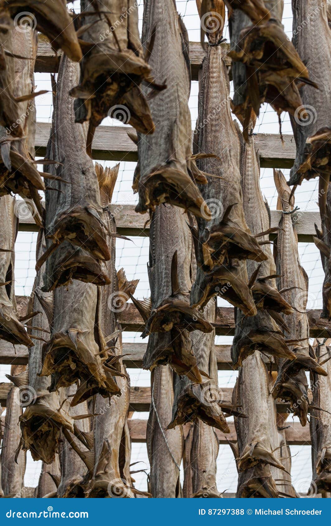 Airdried cod stockfish stock photo. Image of delicacy 87297388