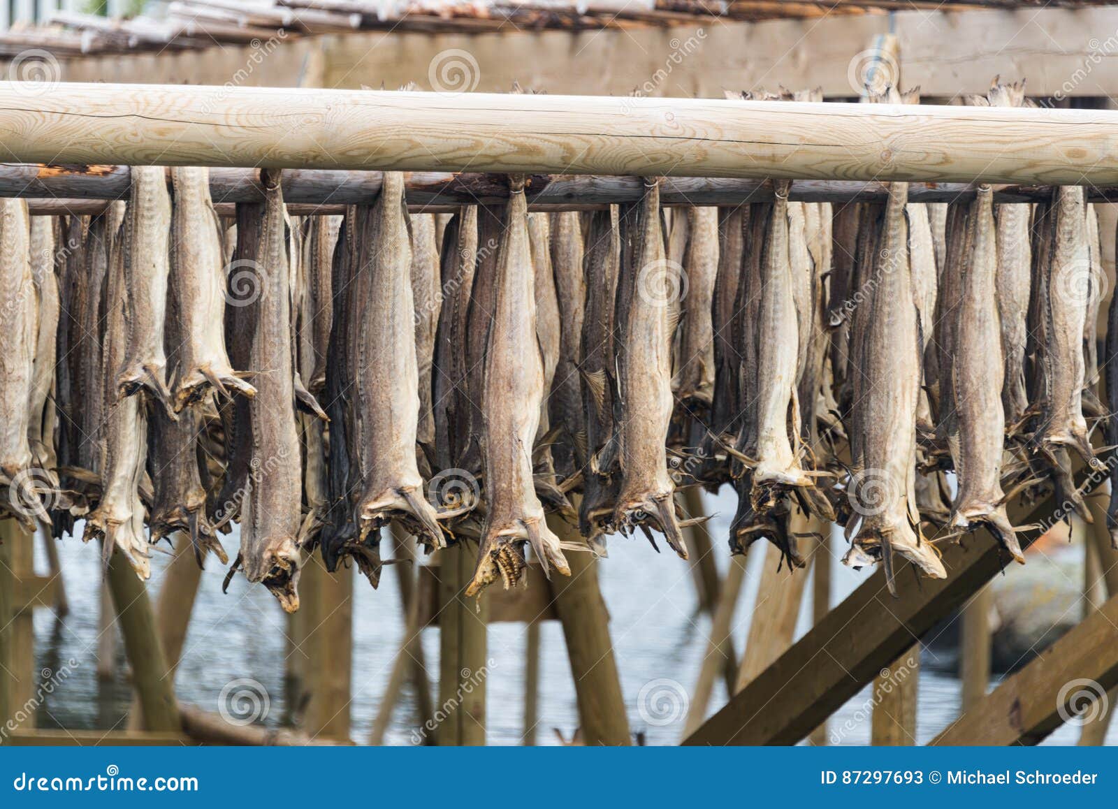 Norwegian Stockfish/stock Fish Cod 