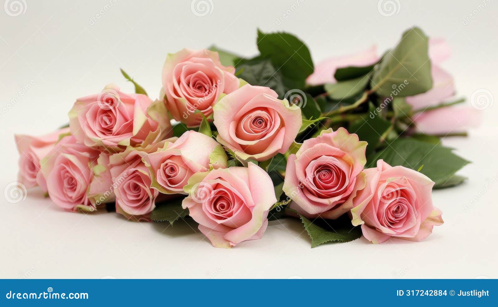 the air is filled with the scent of freshly roses the most popular flower gifted on valentines day