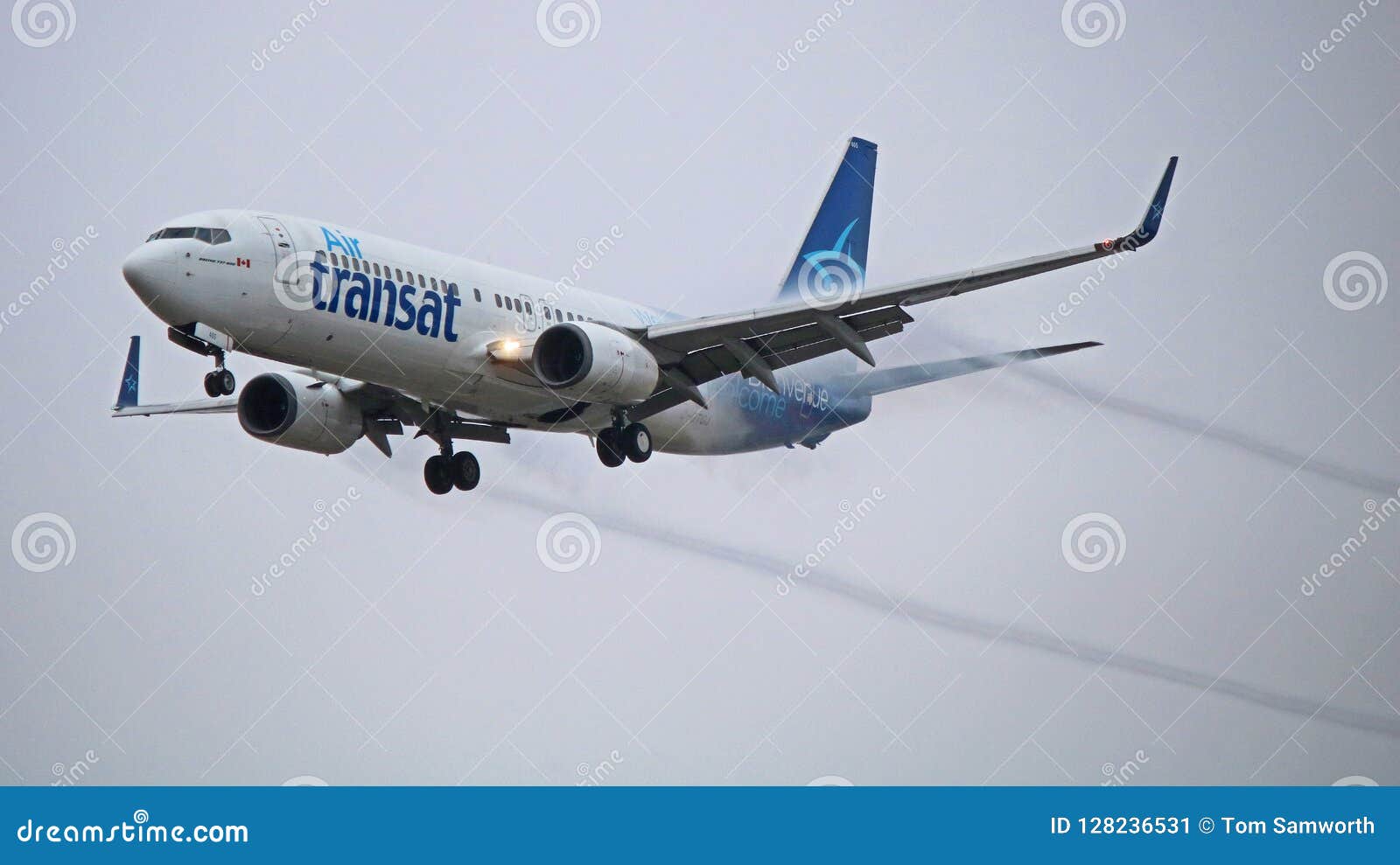 Air Transat 737 800 Seating Chart