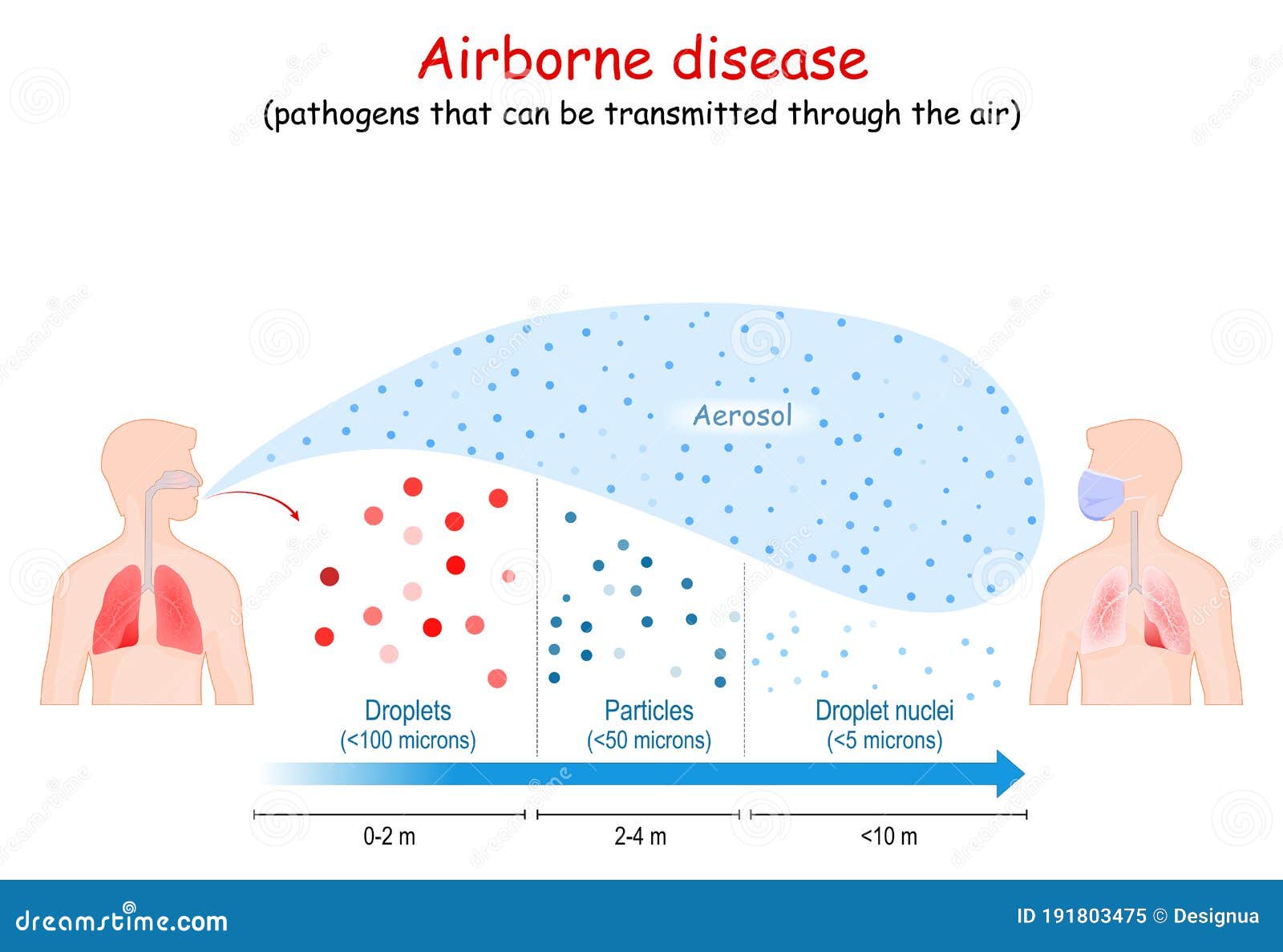 airborne disease. virus human-to-human transmission