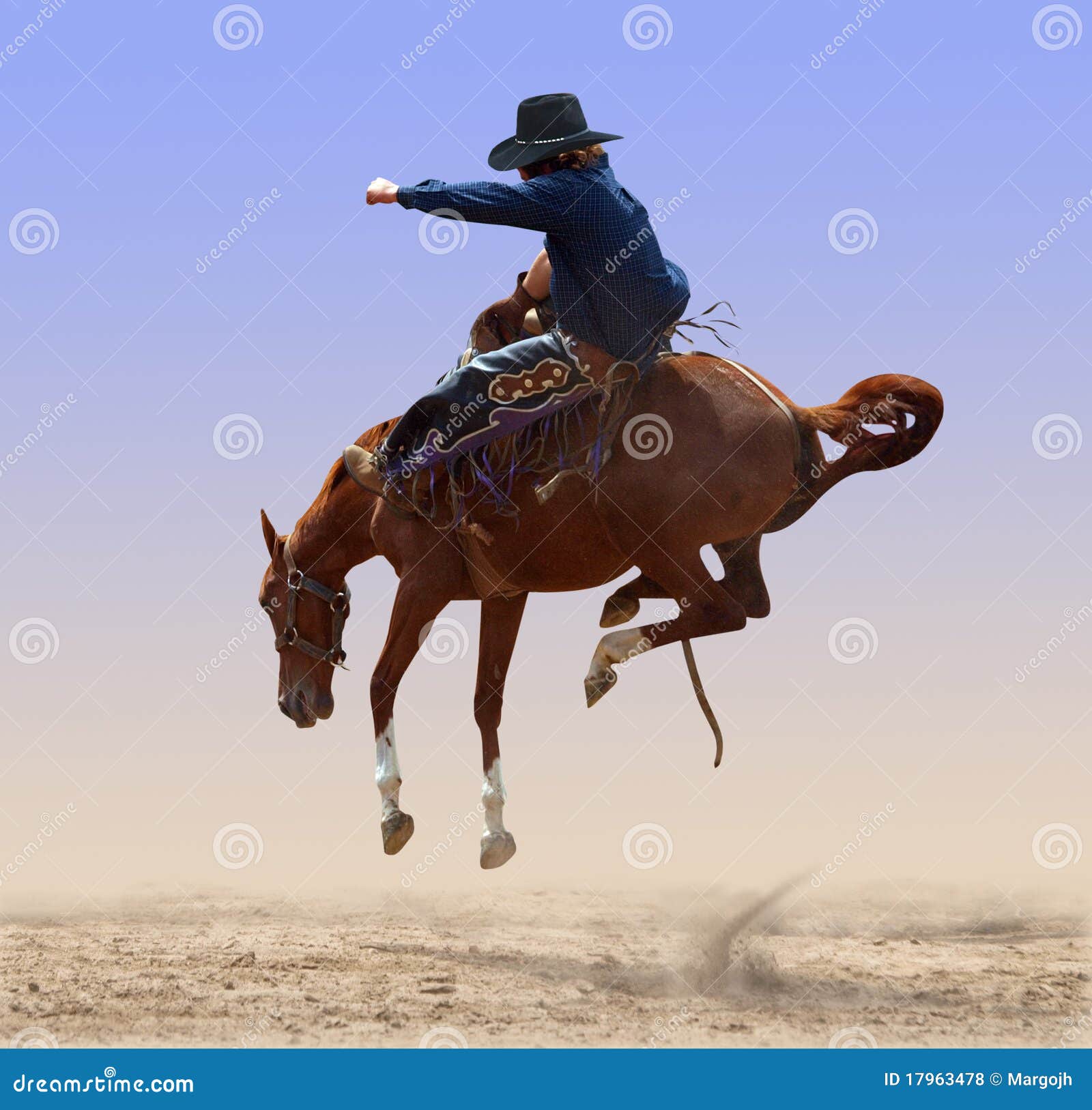 Airborne Rodeo Bronco stock photo. Image of dirty, bucked - 17963478