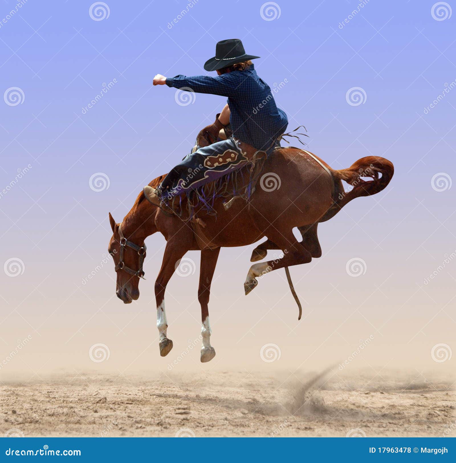 airborne rodeo bronco