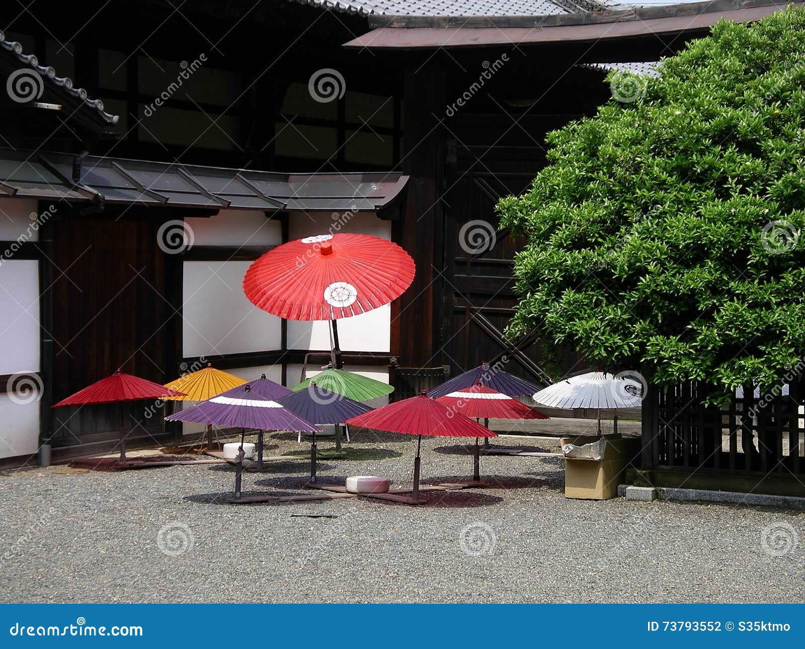 airing japanese parasols, kyoto japan.