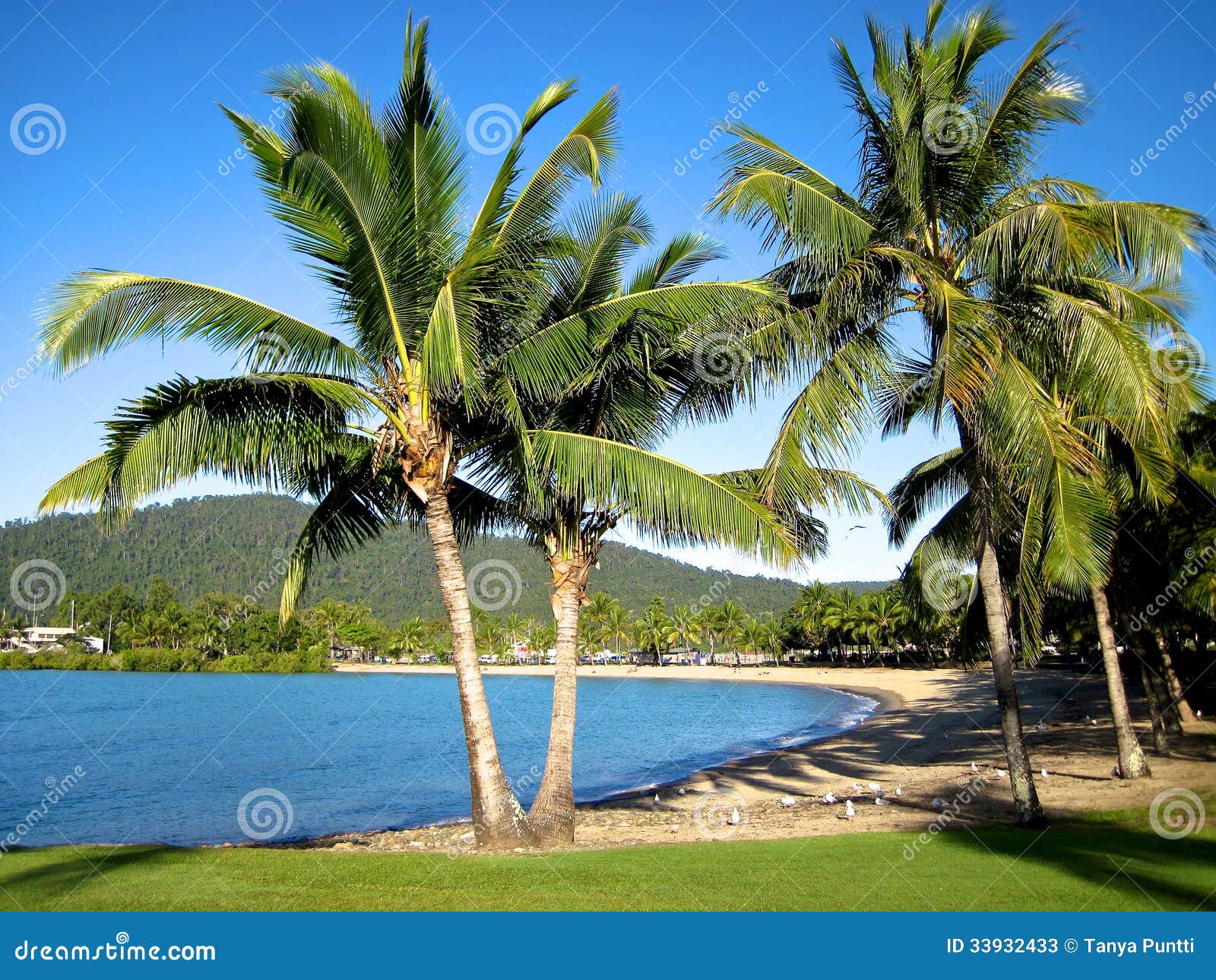 airlie beach in the whitsundays