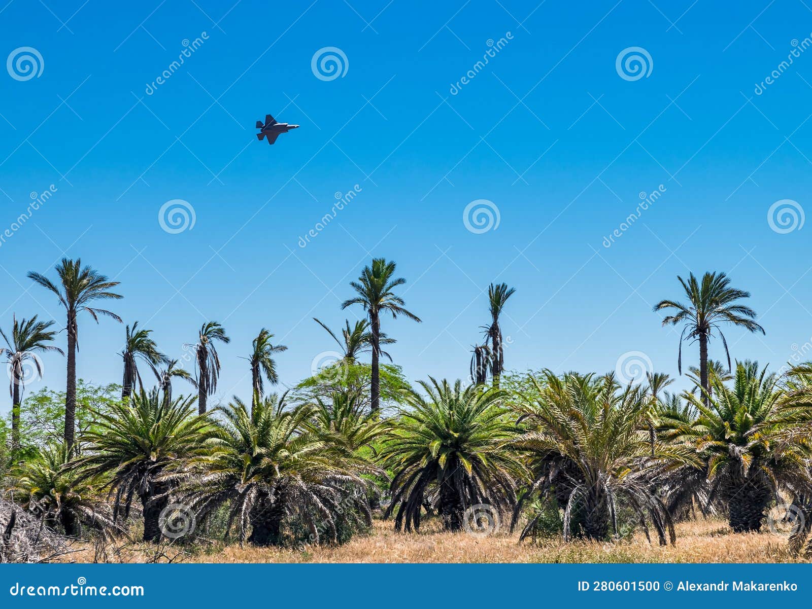 airplane f 35 adir flying over palm trees in israel