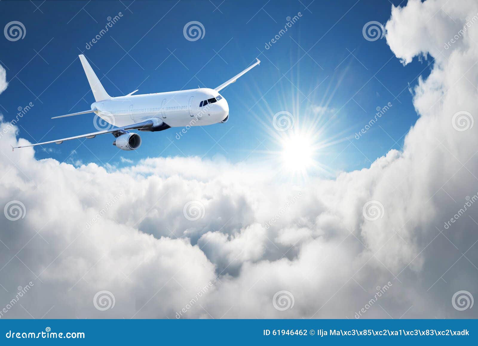 airplane in the sky - passenger airliner / aircraft