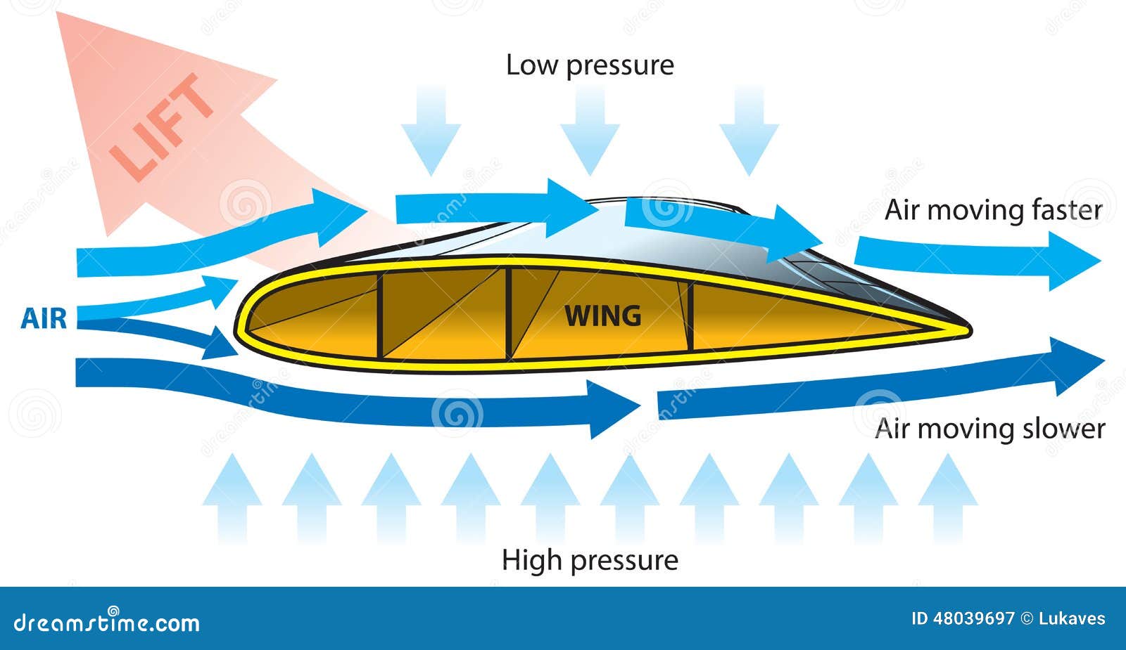 airplane-wing-cross-section-body-lifting-forces-48039697.jpg