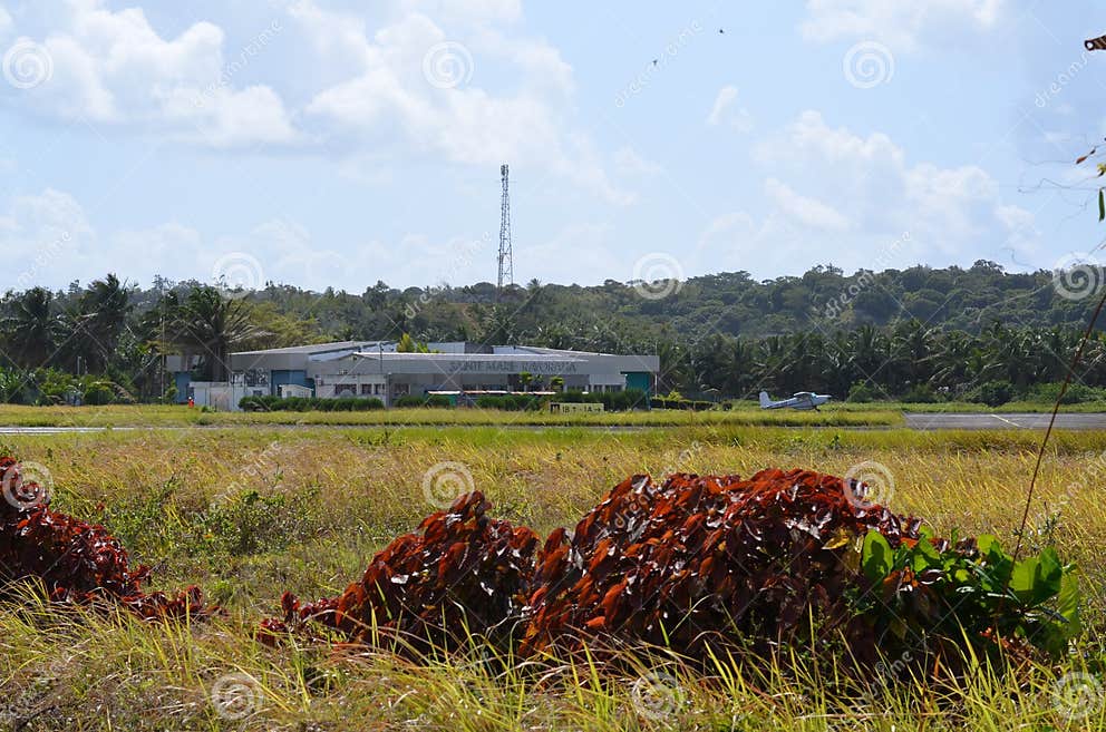 Airport Nosy Boraha Exploring the Peaceful Beach Life of Madagascar S Tropical Paradise