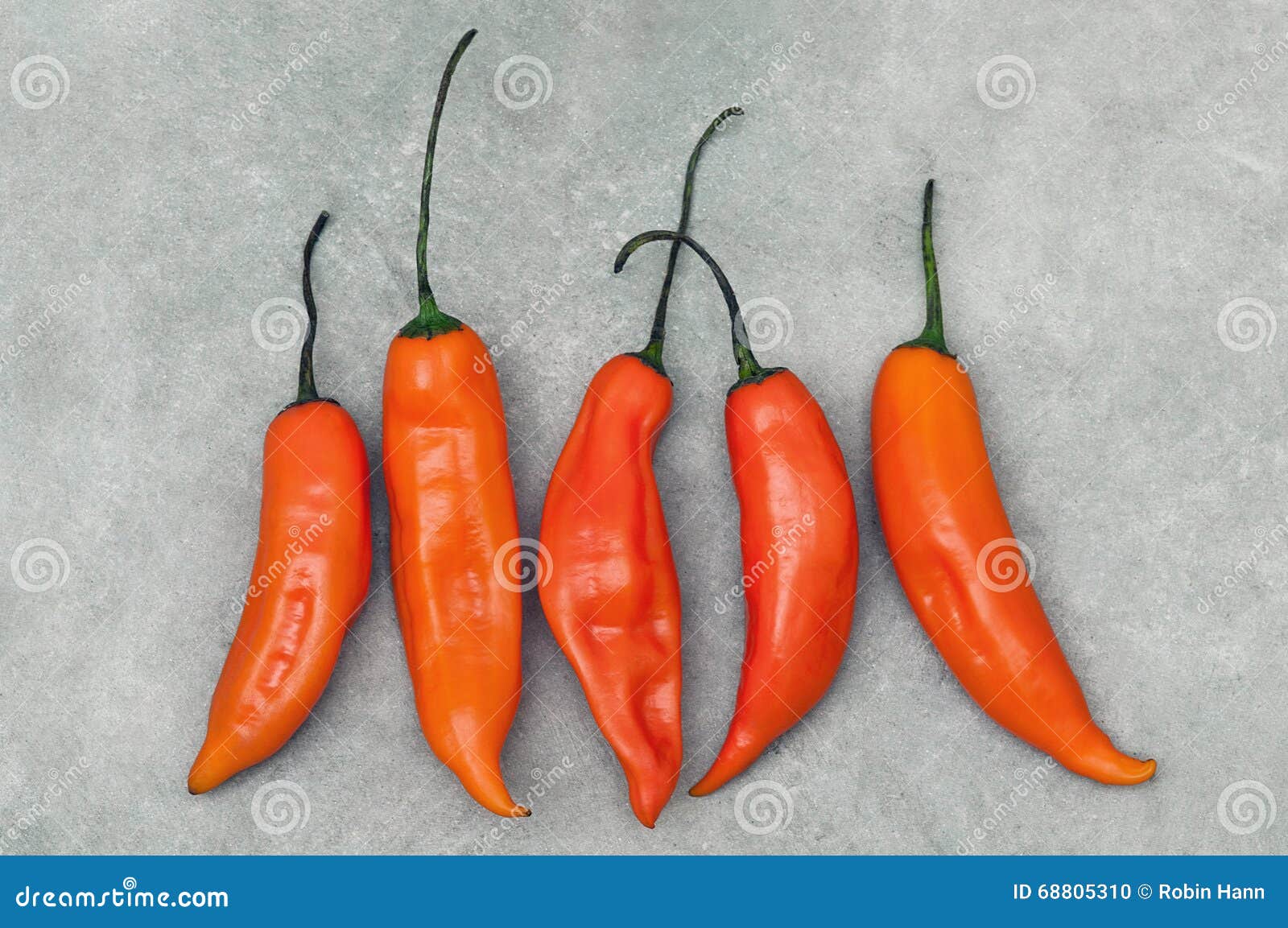 aji amarillo hot chili peppers on stone background