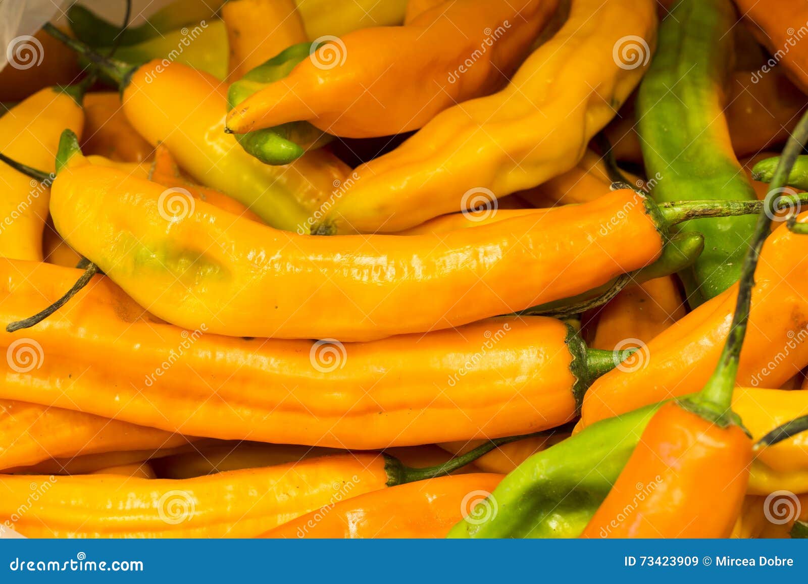 aji amarillo, yellow chili pepper from south america, arequipa, peru. natural market look