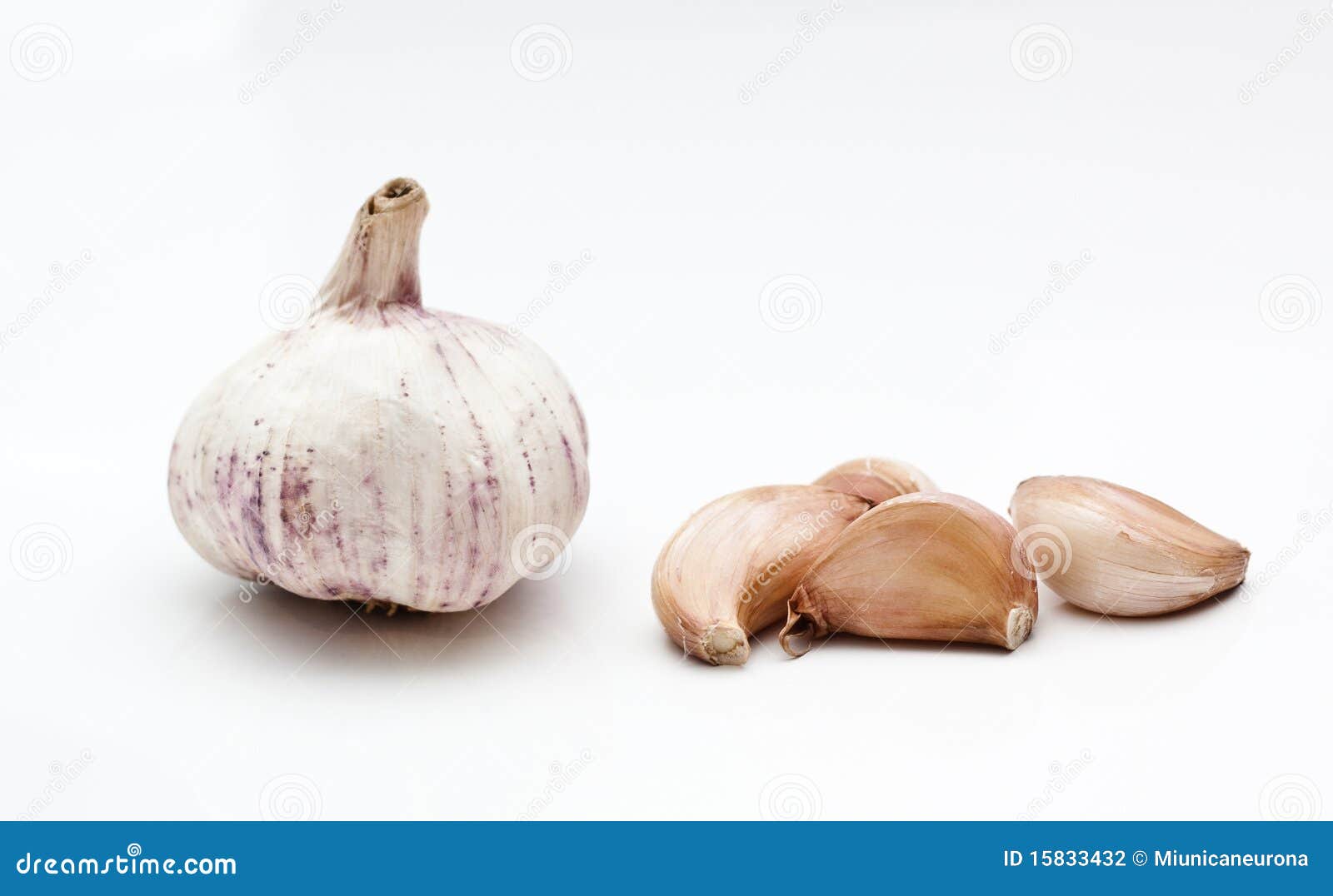 Ajo y diente de ajo stock photo. Image of isolated, additive 15833432