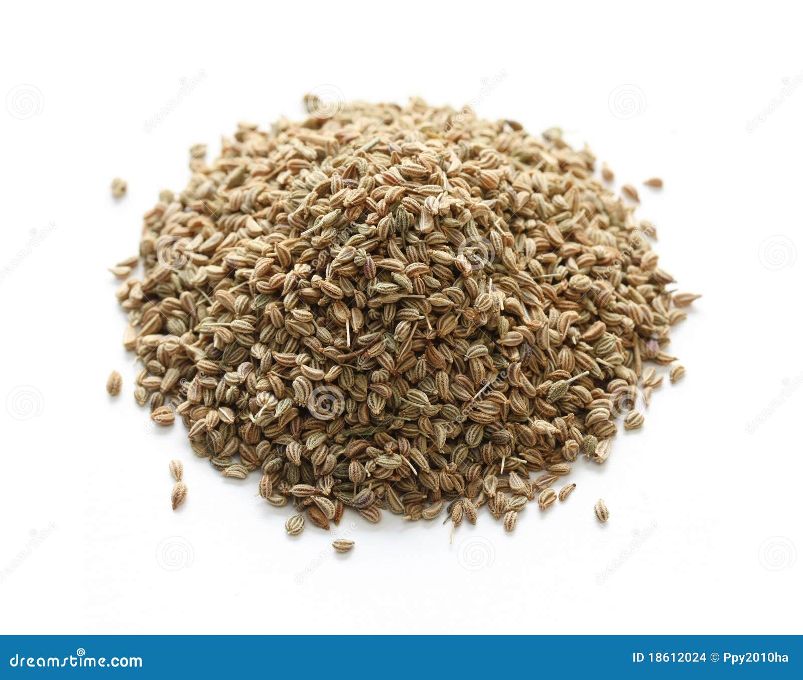 Ajowan Ajwain ινδικό καρύκευμα σπόρω&nu Στοκ Εικόνες εικόνα από 18612024