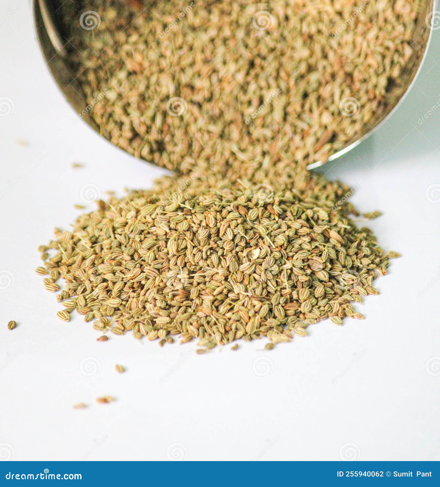 Ajwain Seeds stock photo. Image of ingredient, background 255940062