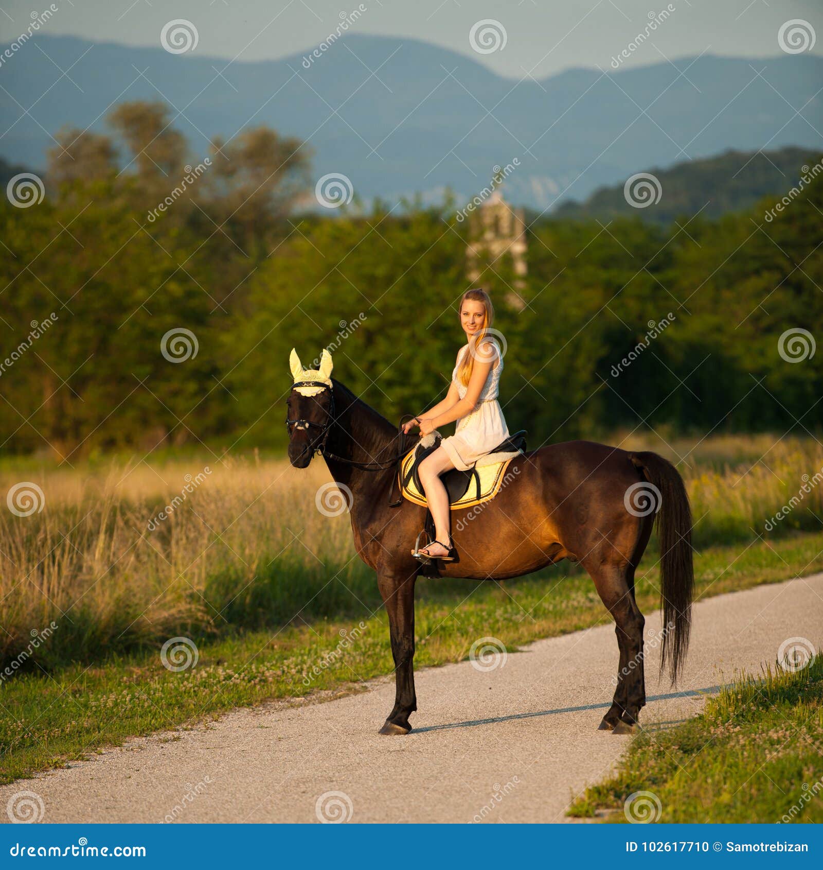 Aktive Fahrt Der Jungen Frau Ein Pferd In Der Natur Stockfoto Bild Von Mode Schön 102617710