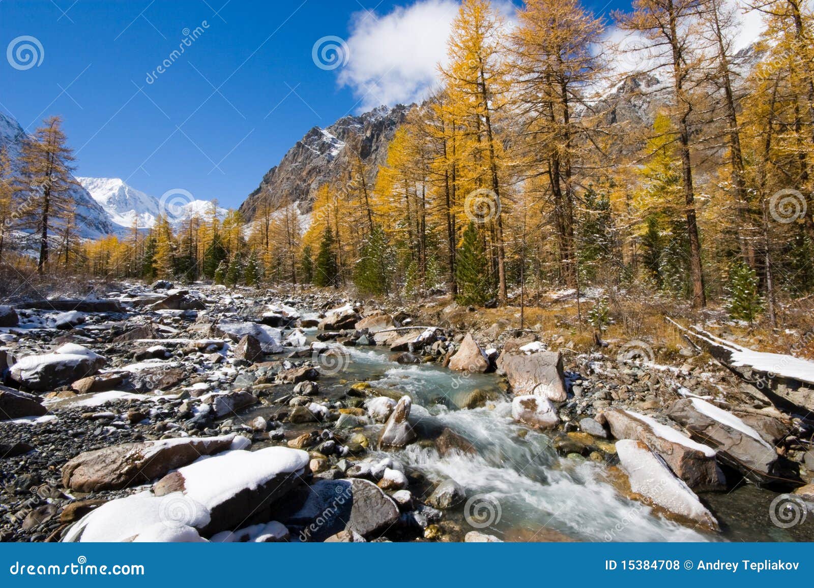 Aktru River Stock Photo Image Of Ecology Hike Alpine 15384708