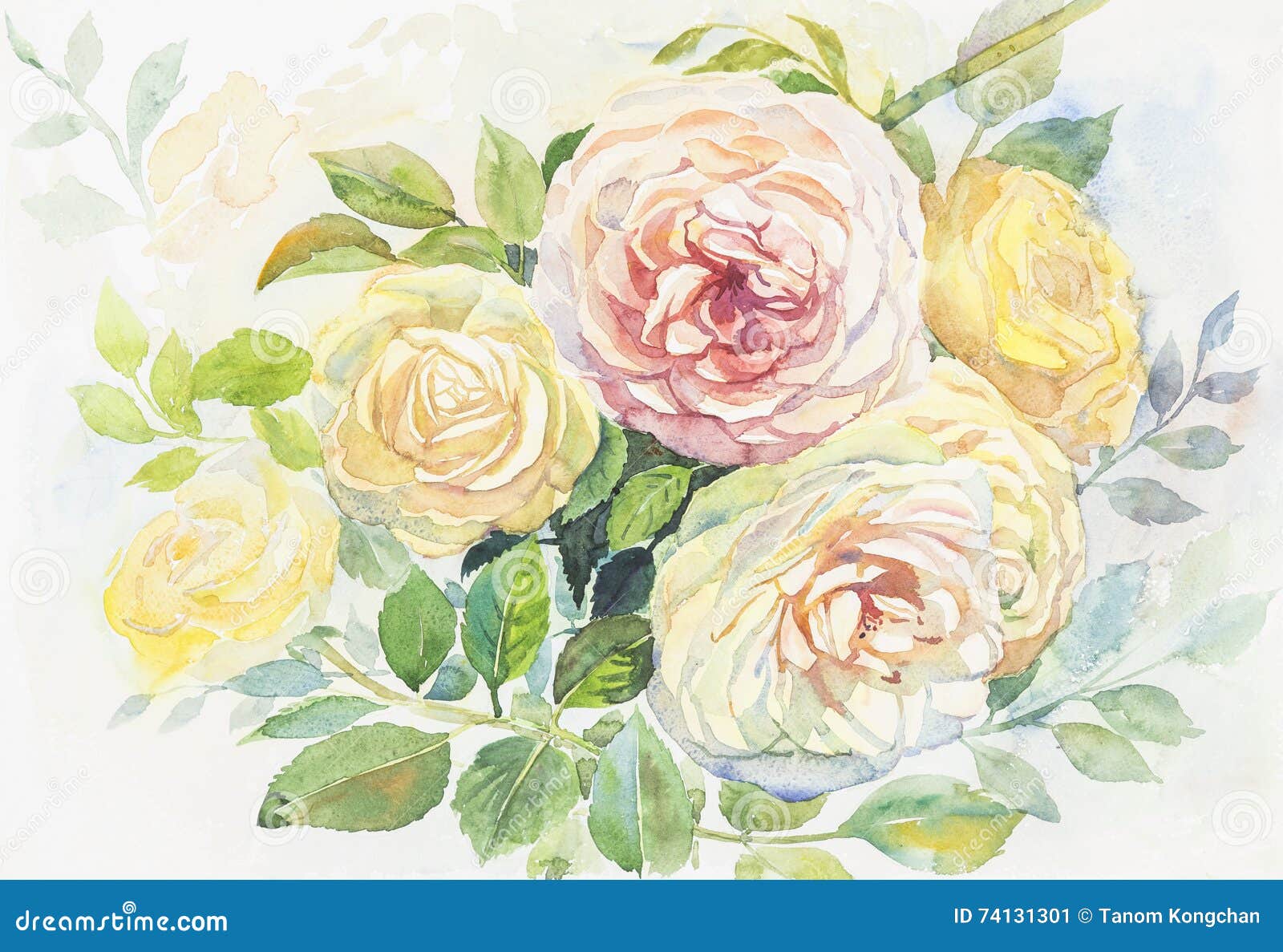 Akwarela oryginalny obraz realistyczny róża kwiaty. Akwarela oryginalnego obrazu Realistyczny kolor żółty, różowy kolor róża kwiaty i zieleń, opuszczamy w abstrakcjonistycznym tle