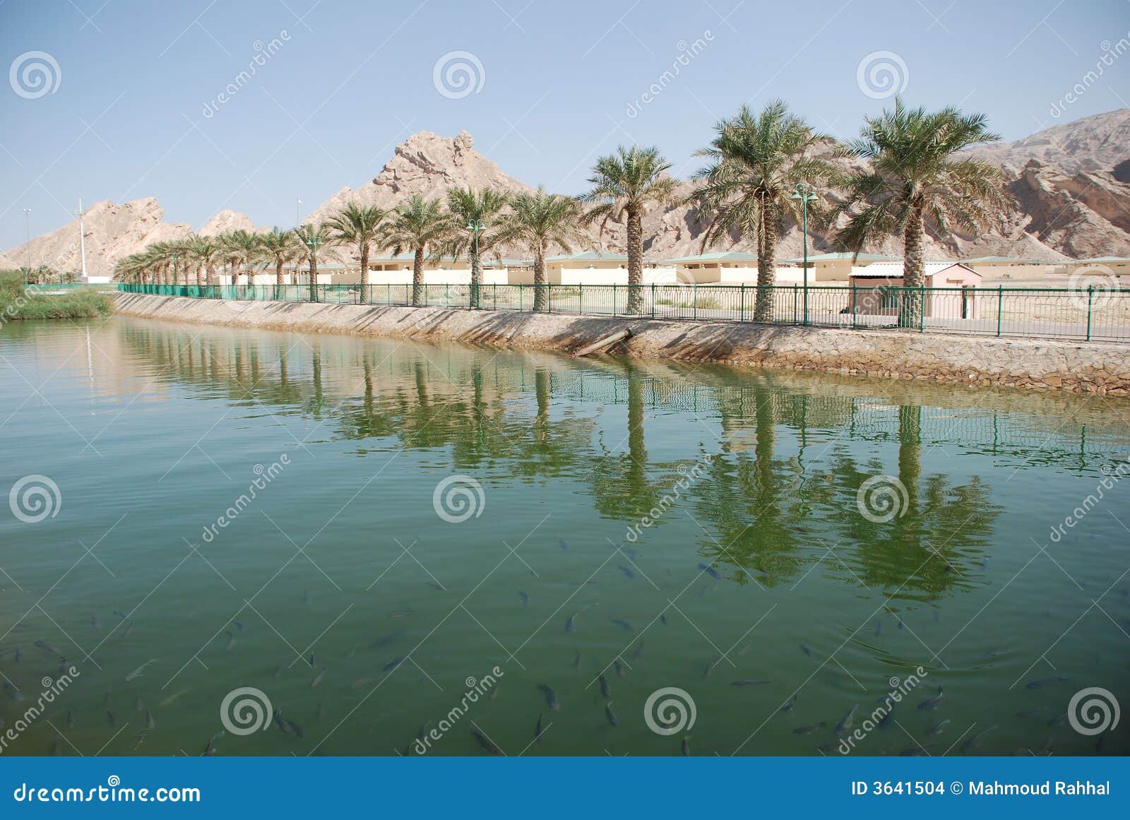 al ain city