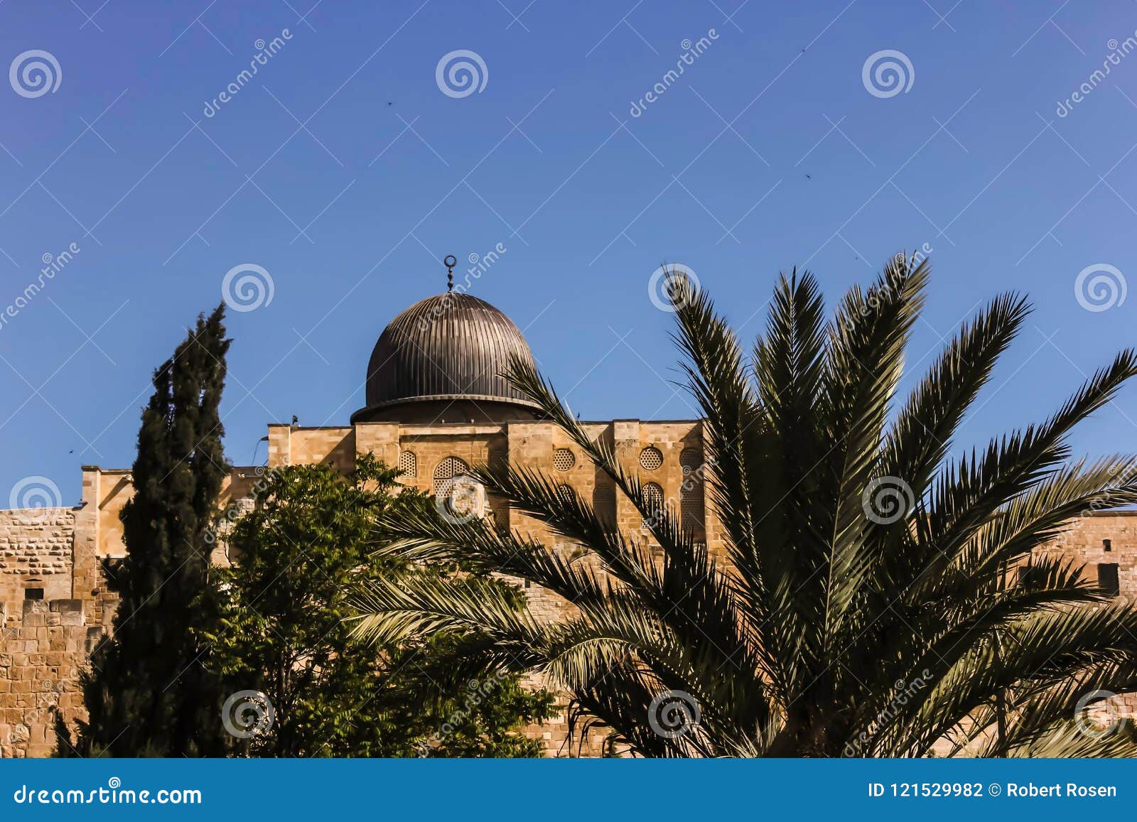 Al Aqsa Mosque In Jerusalem Behind Palm Trees Stock Photo Image Of Cedar Israel 121529982