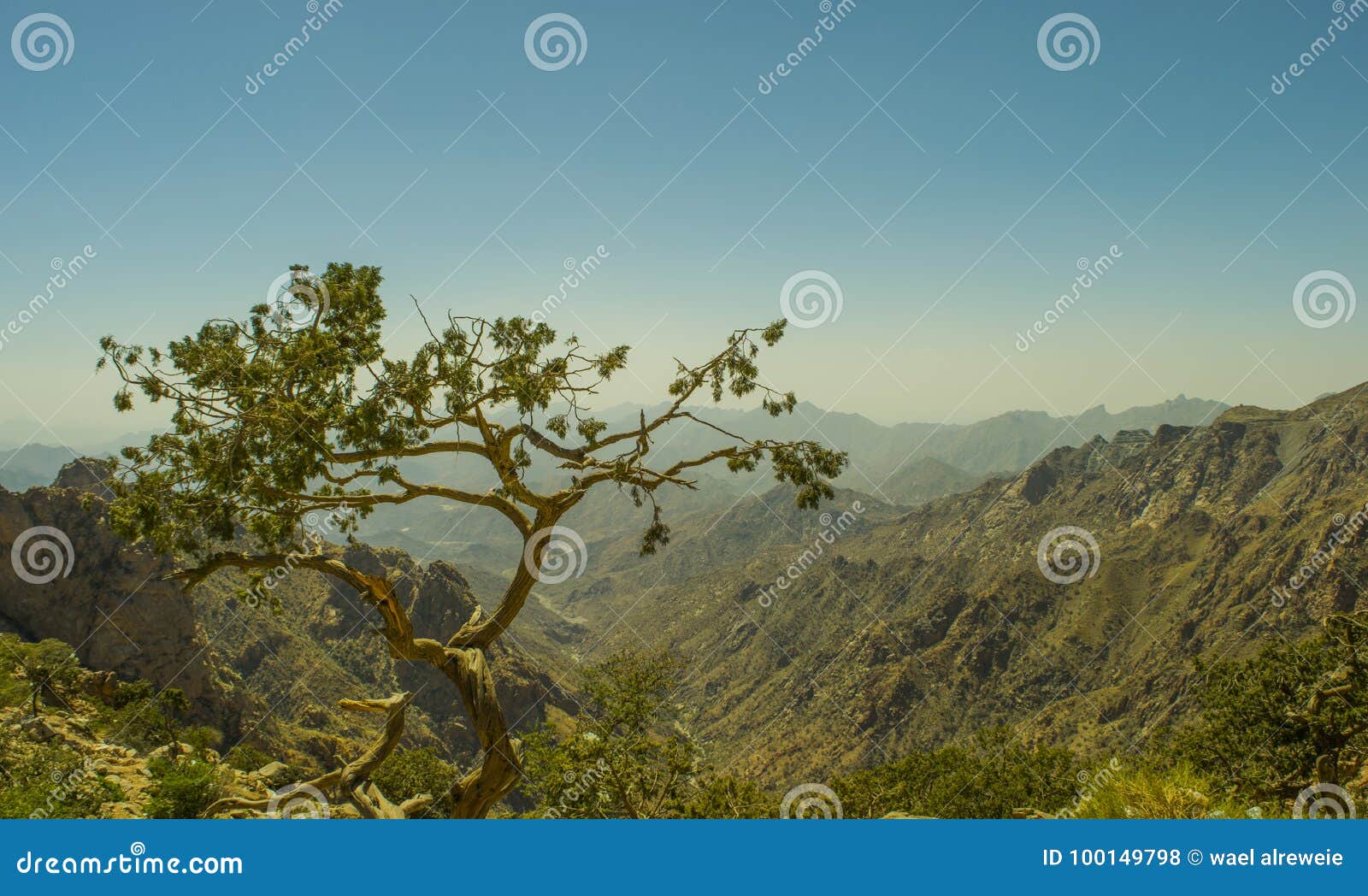 al hada mountain in taif city