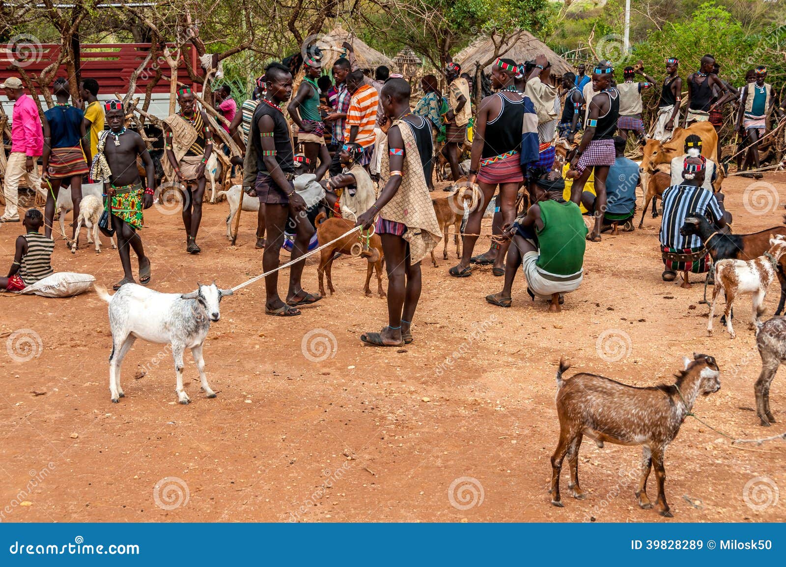 Al mercato animale in Alduba. ALDUBA, ETIOPIA - MARZO 18,2014 - il Banna sono pastori musulmani che vivono negli altopiani di sud-ovest Etiopia. Soprattutto sono situati nella provincia di Gemu Gofa, che è ad est del fiume di Omo ed a nord del lago Turkana.