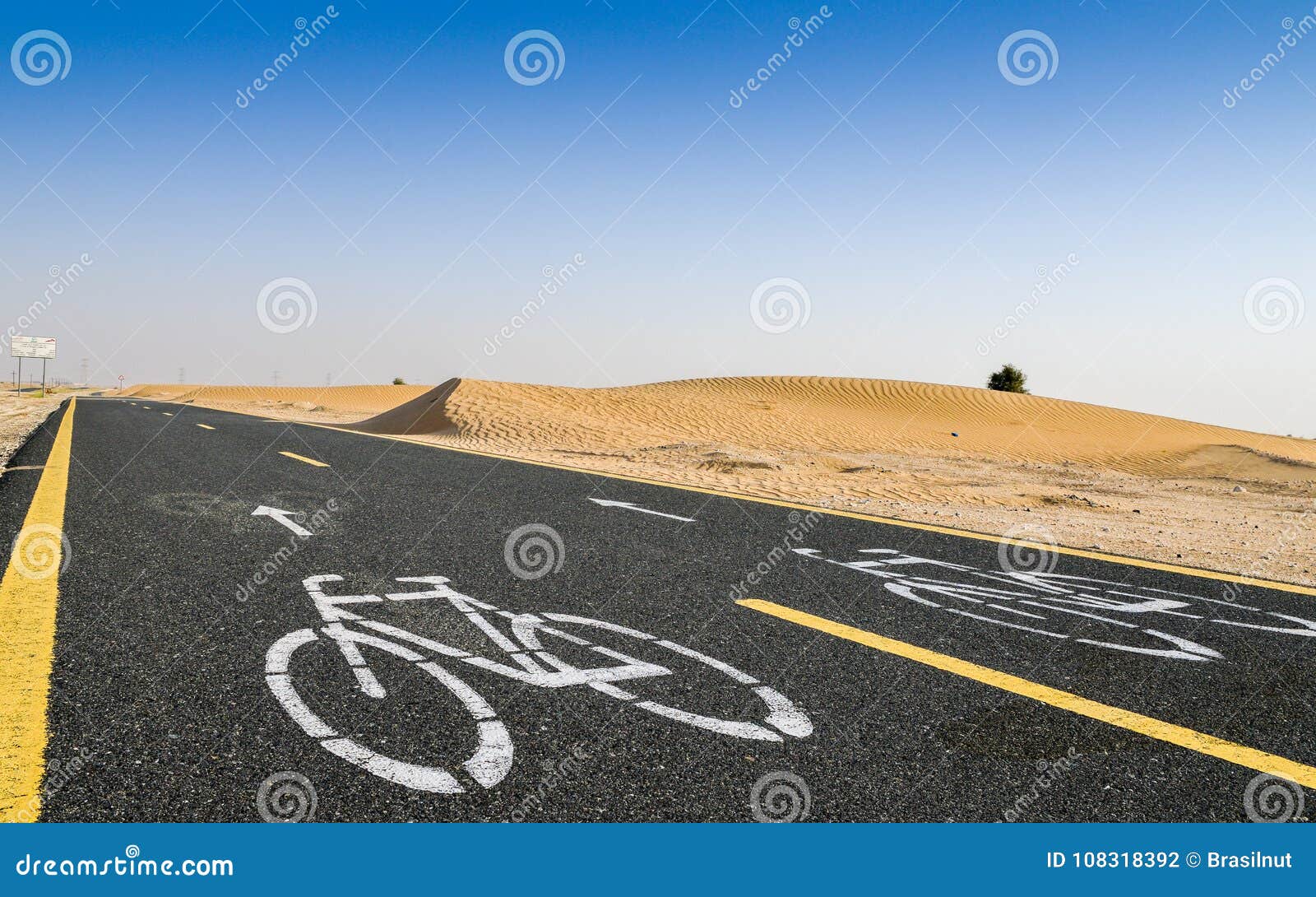 al qudra cycling track near dubai, united arab emirates, middle east