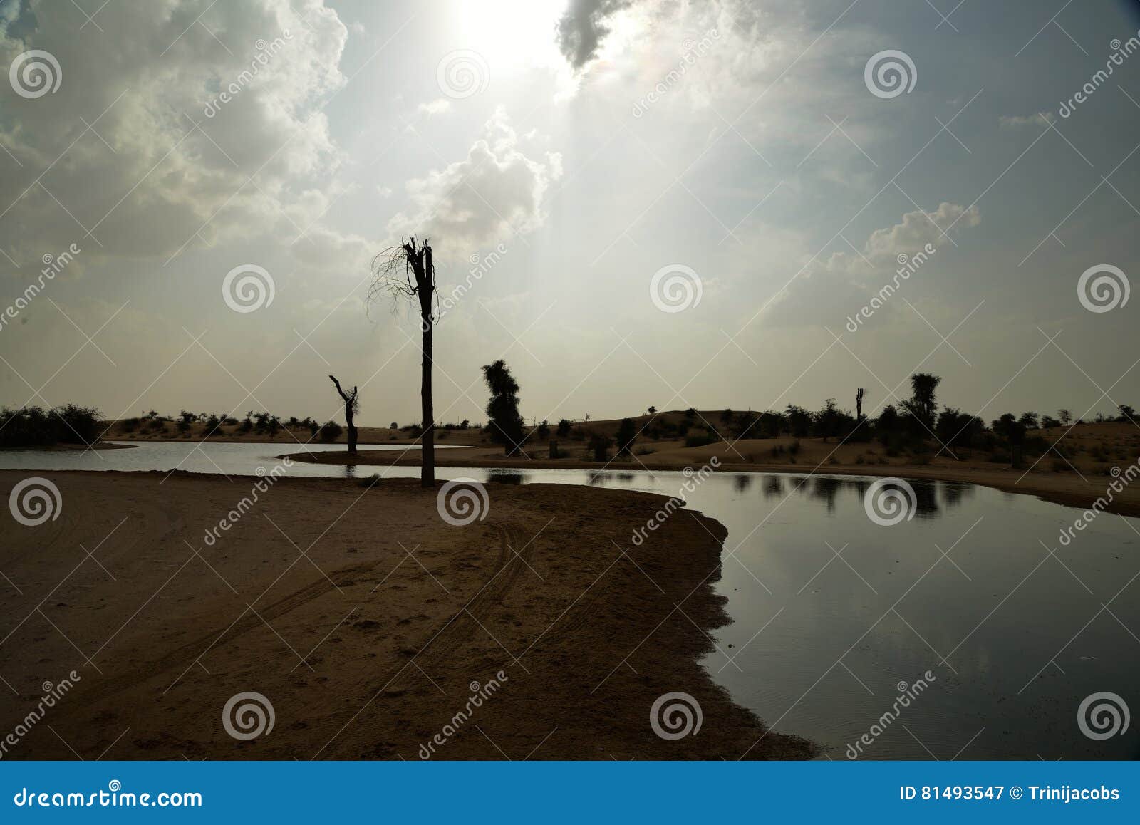 al qudra lakes, dubai