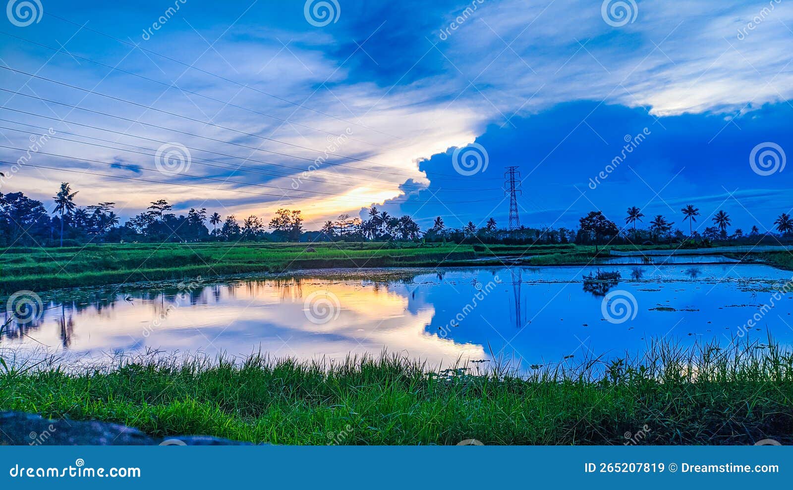 Alam Farm Water Fresh Sunset Editorial Stock Image Image of alam