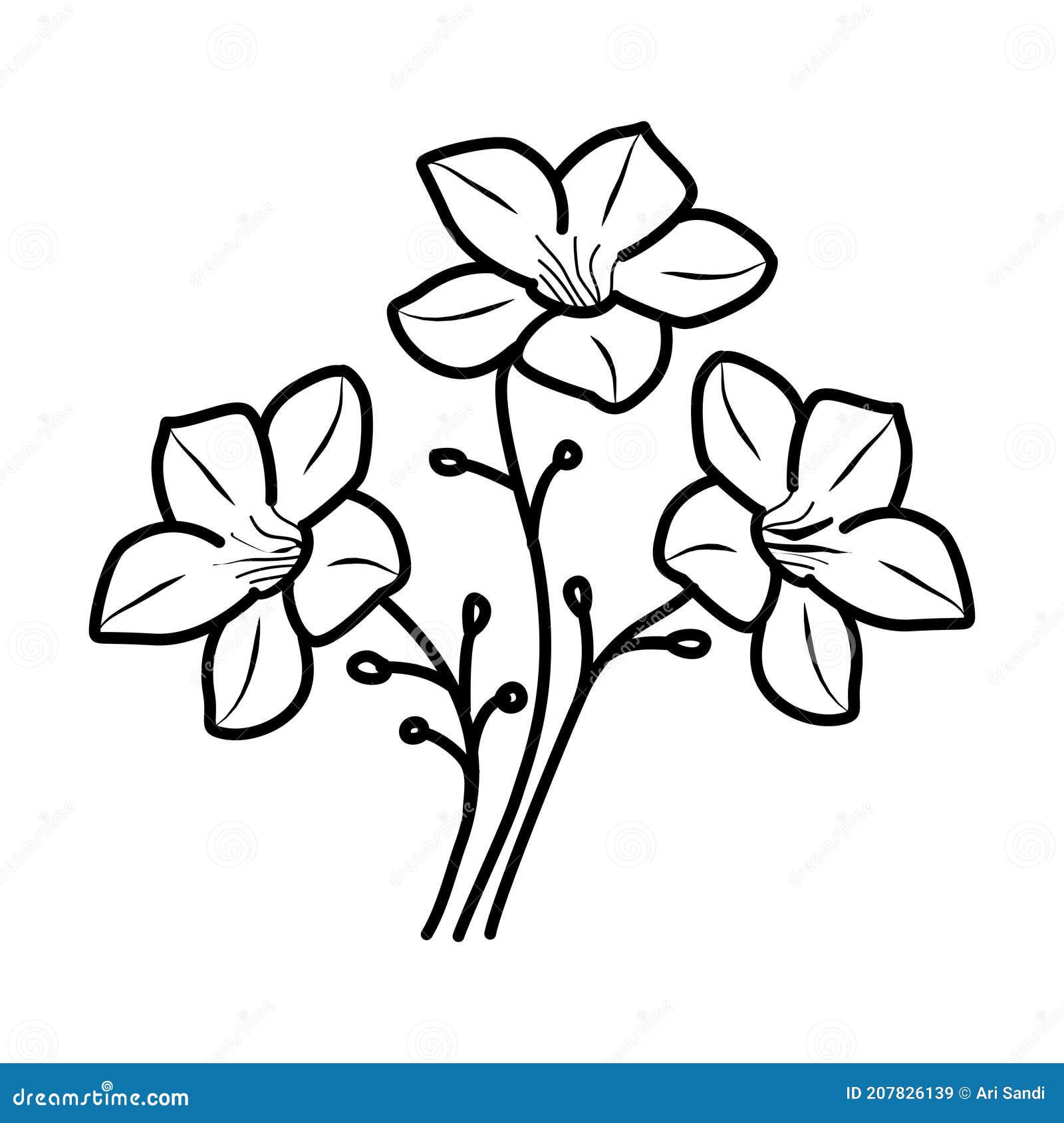 213 Jasmine Flower Drawing Stock Photos - Free & Royalty-Free Stock Photos  from Dreamstime
