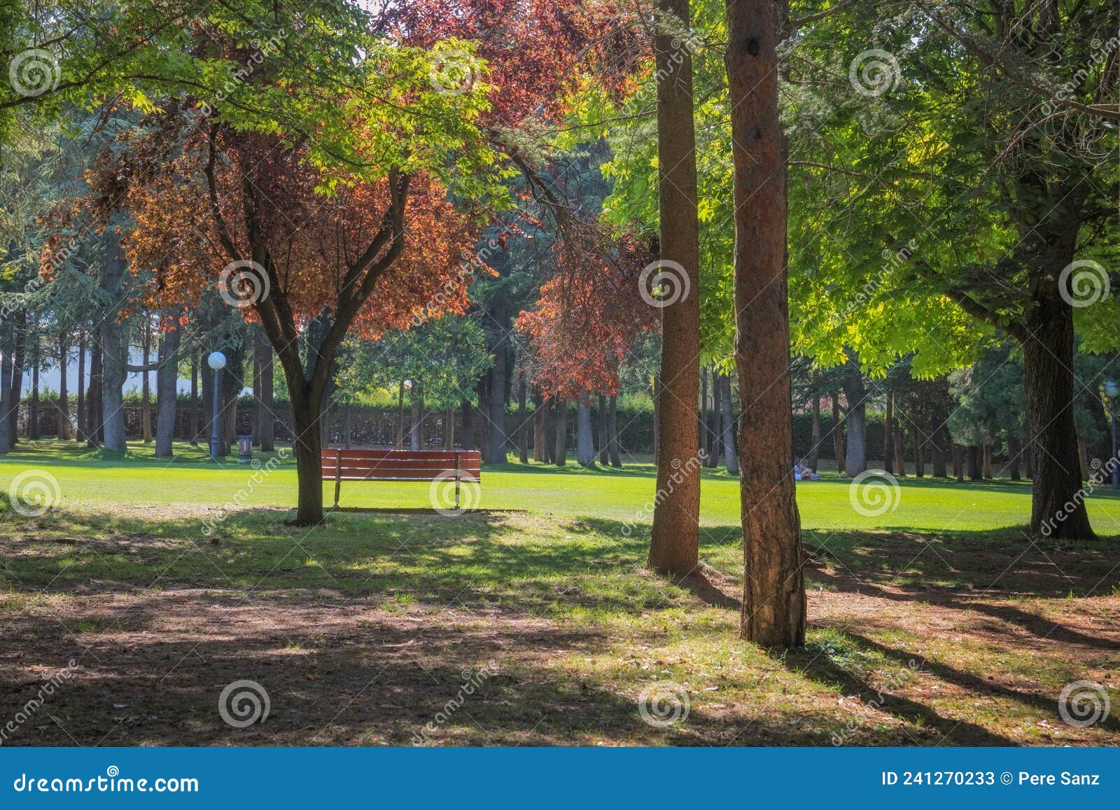 the alameda park in soria