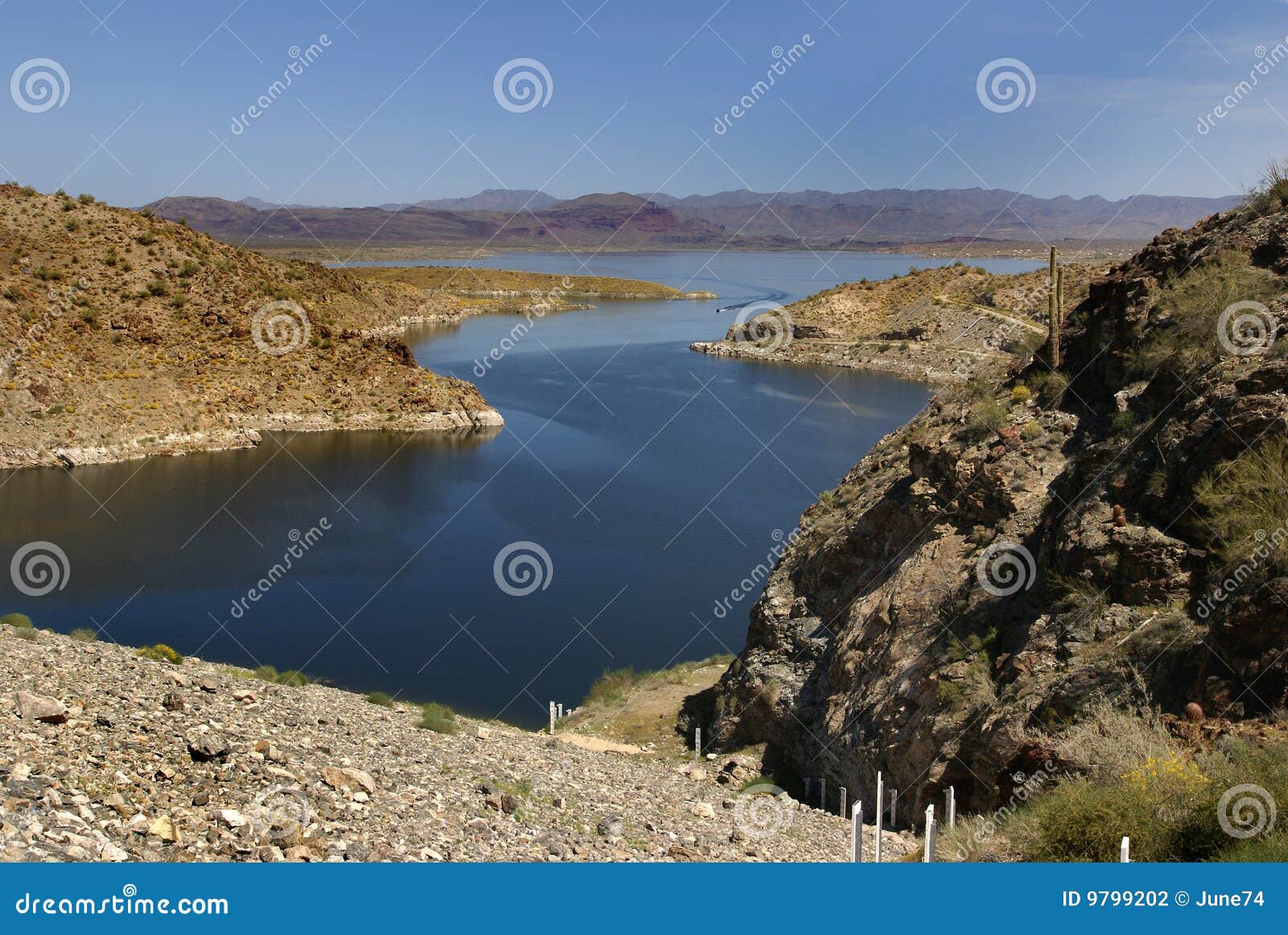 Alamo Lake State Park in Arizona Stock Photo Image of landscape