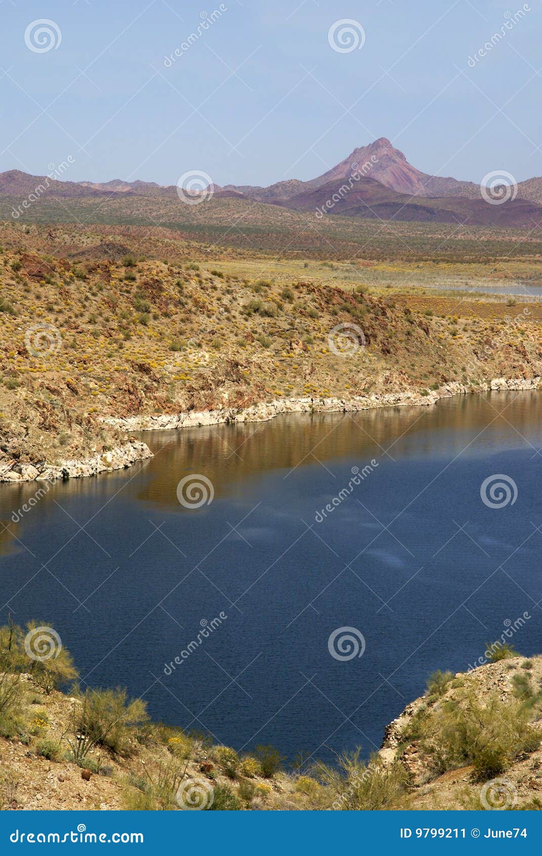 Alamo Lake State Park in Arizona Stock Image Image of water, scenic