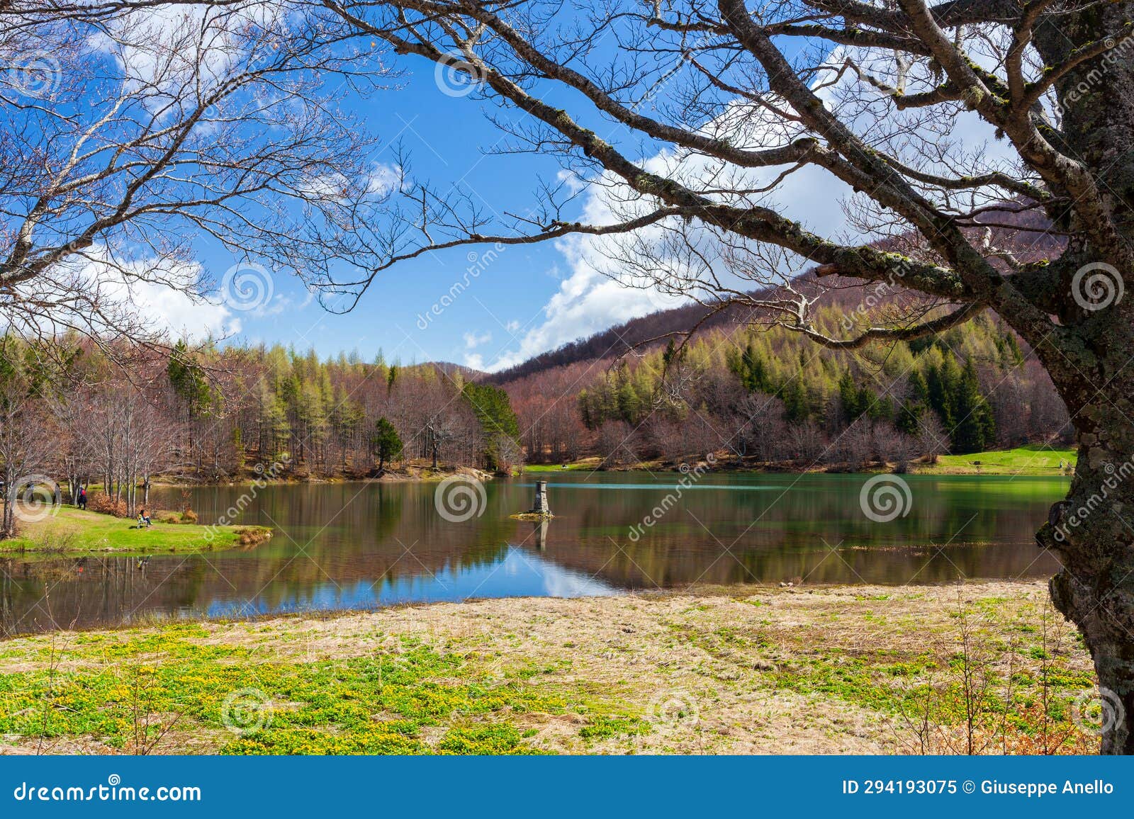 alamone lake. national park of appennino tosco-emilianoc