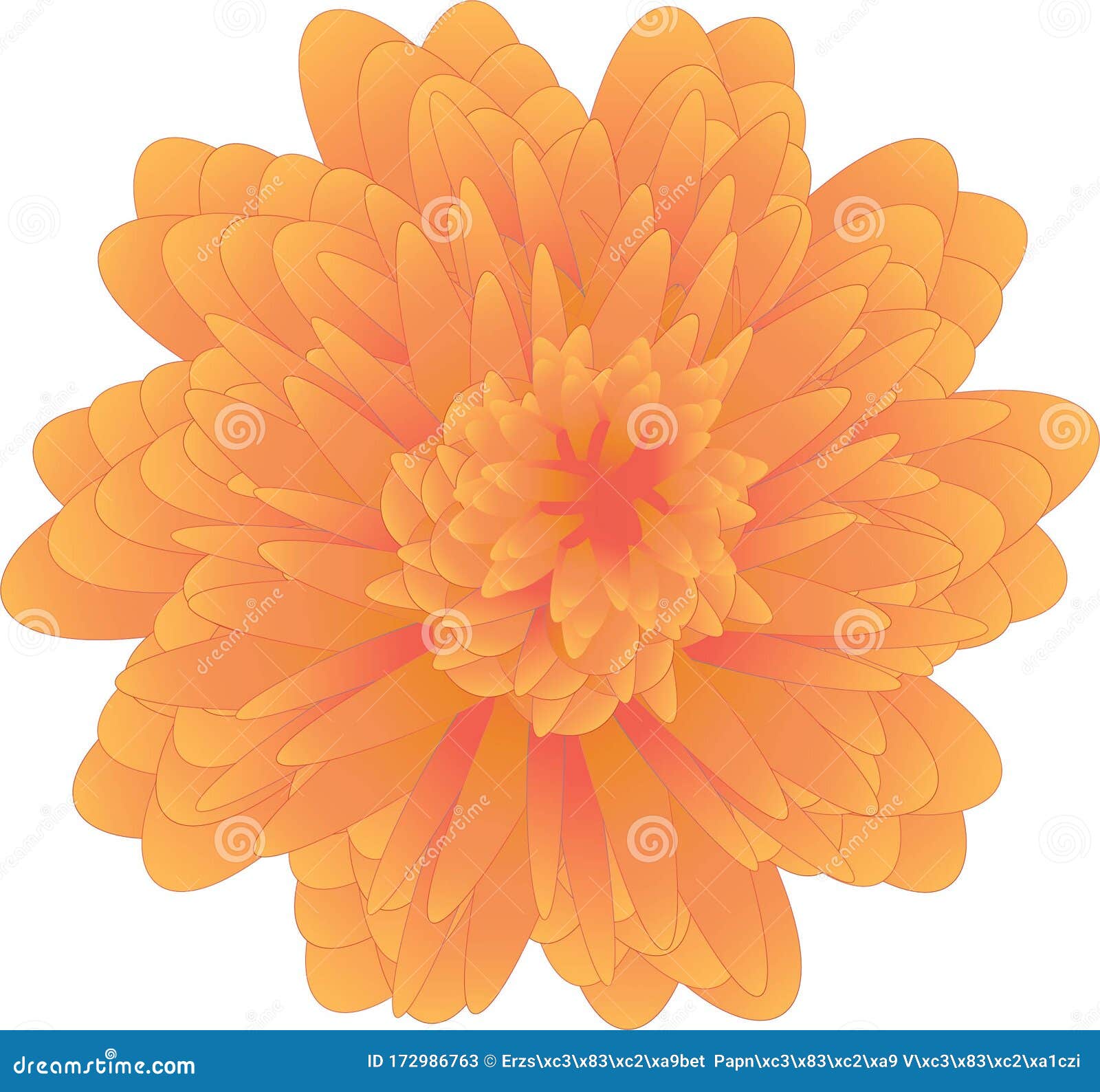 Orange 3D Chrysanthemum Illustration Logo. Stock Vector Illustration