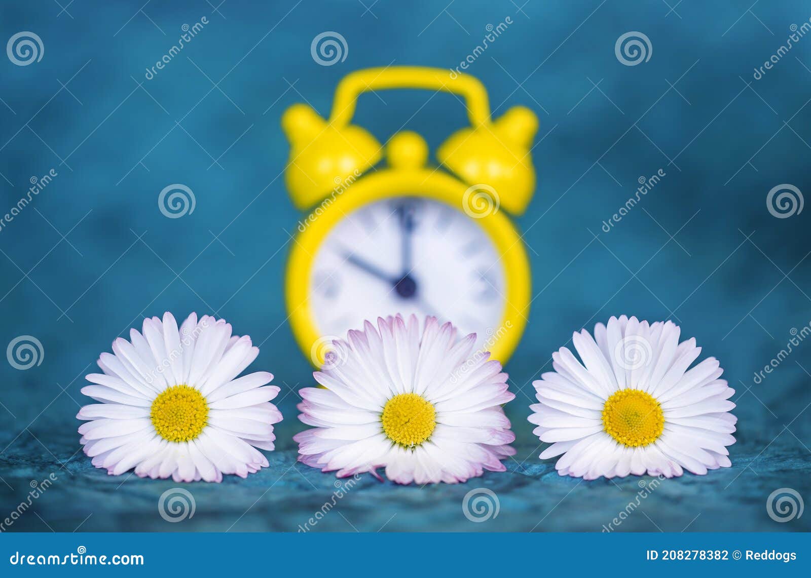 alarm clock and flowers, spring forward, daylight savings time concept