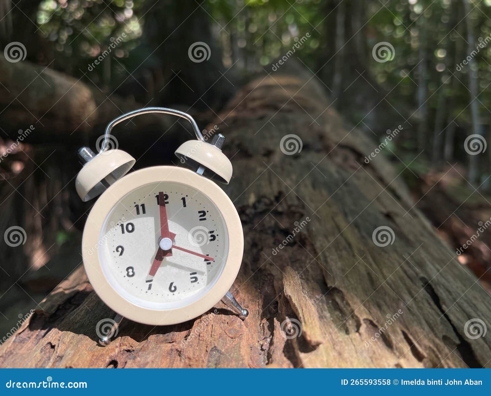 object and nature.