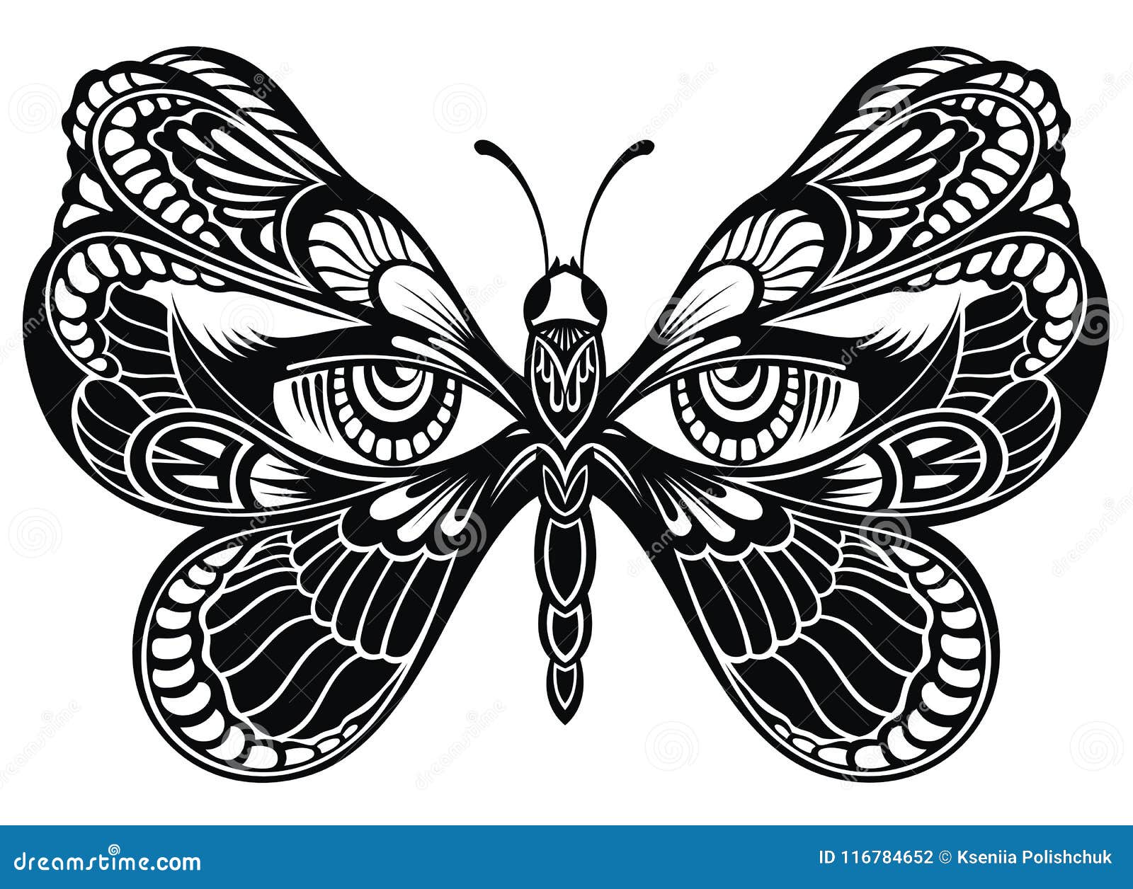 Las alas de la mariposa  ¿Casualidad o diseño?