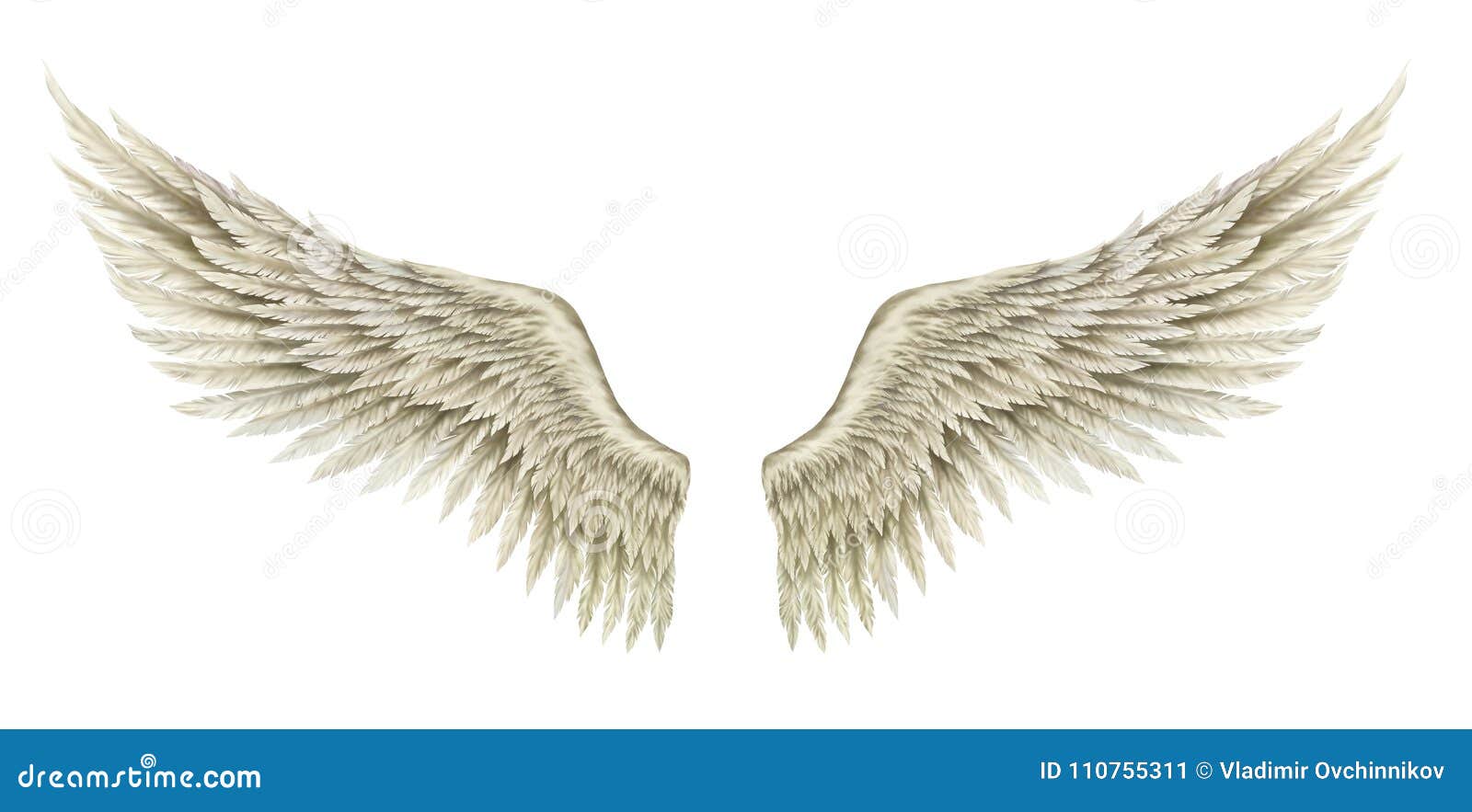155,491 imágenes, fotos de stock, objetos en 3D y vectores sobre Ala del  ángel